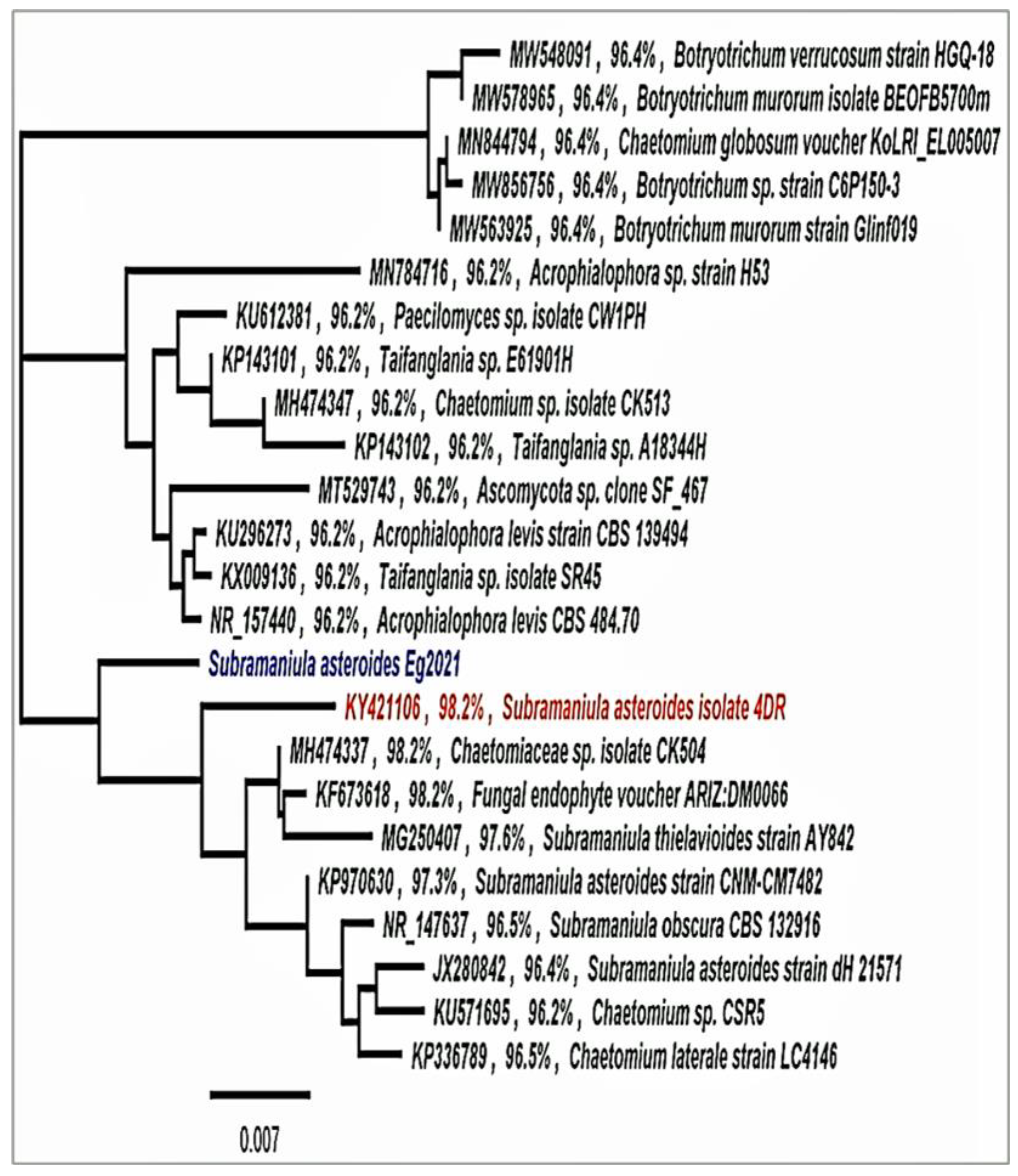 Jof 08 01149 g003 Jof 08 01149 g003