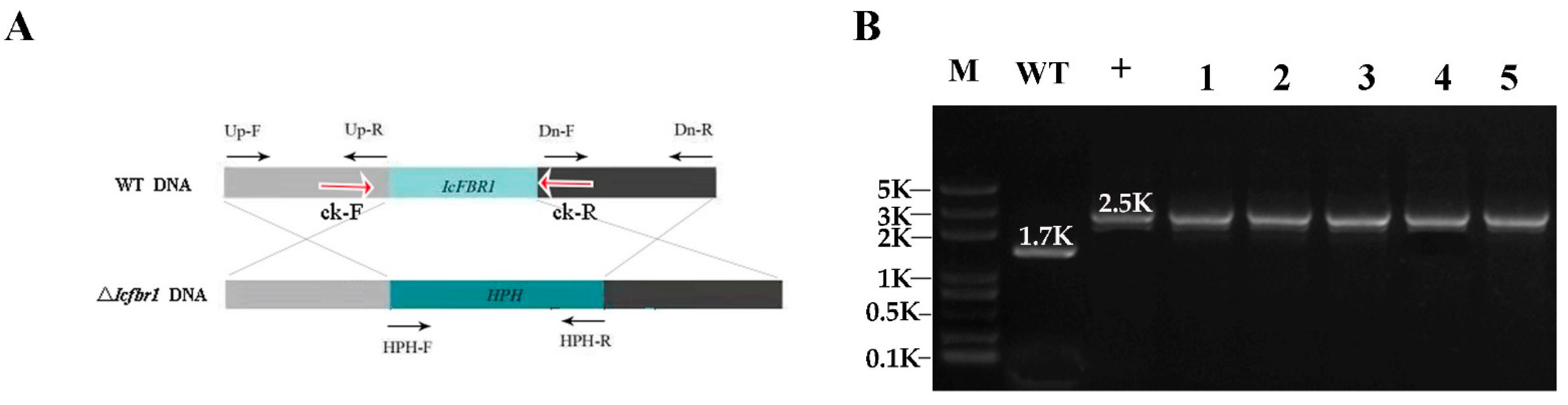 Jof 08 01152 g001 Jof 08 01152 g001