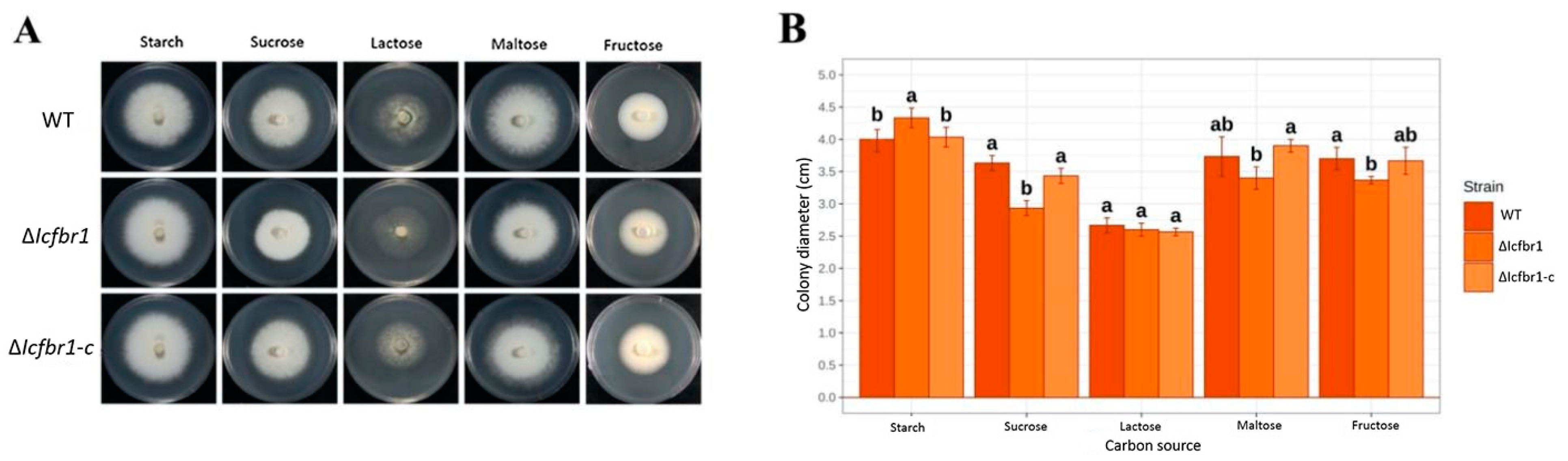 Jof 08 01152 g003 Jof 08 01152 g003