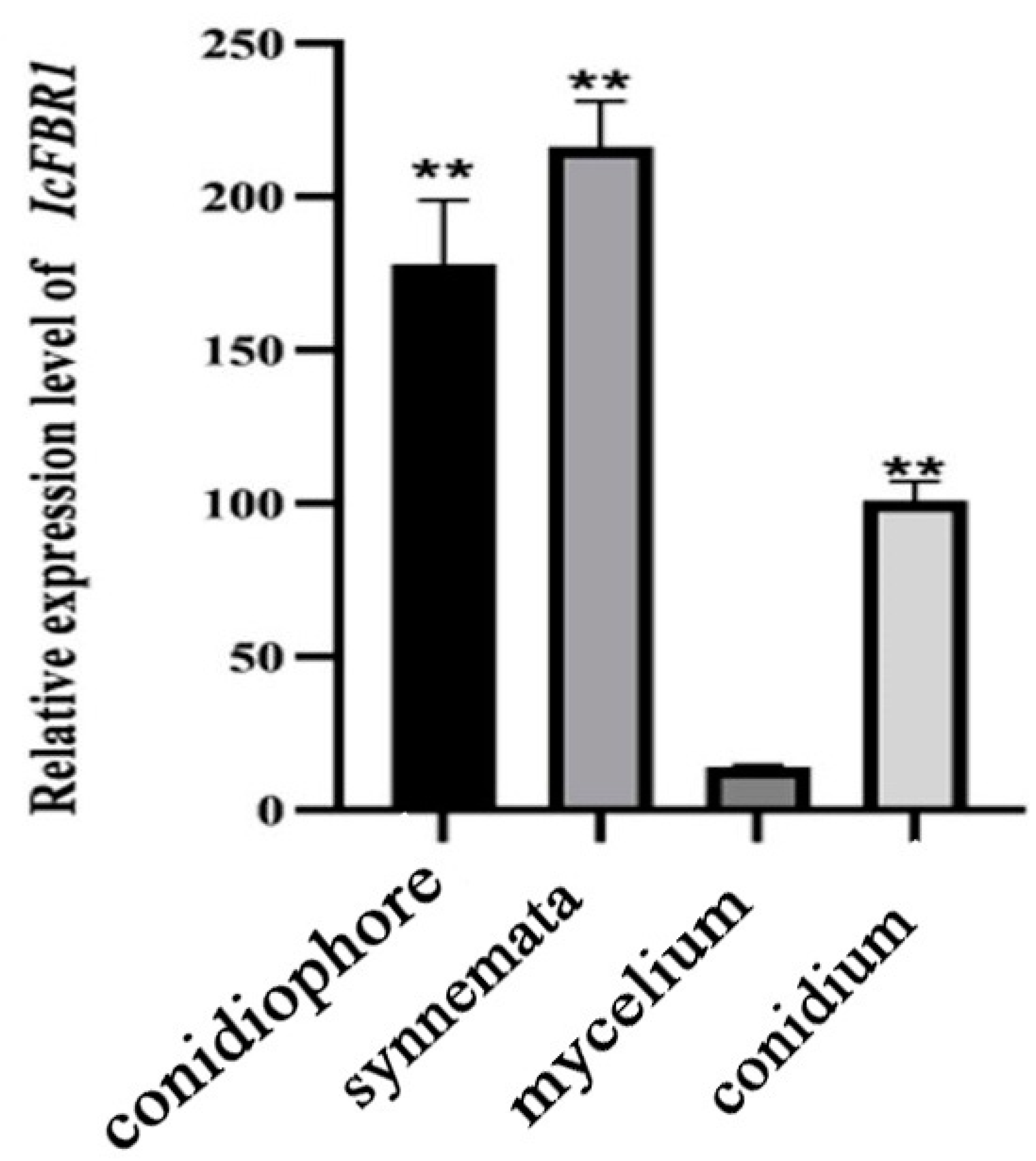 Jof 08 01152 g005 Jof 08 01152 g005