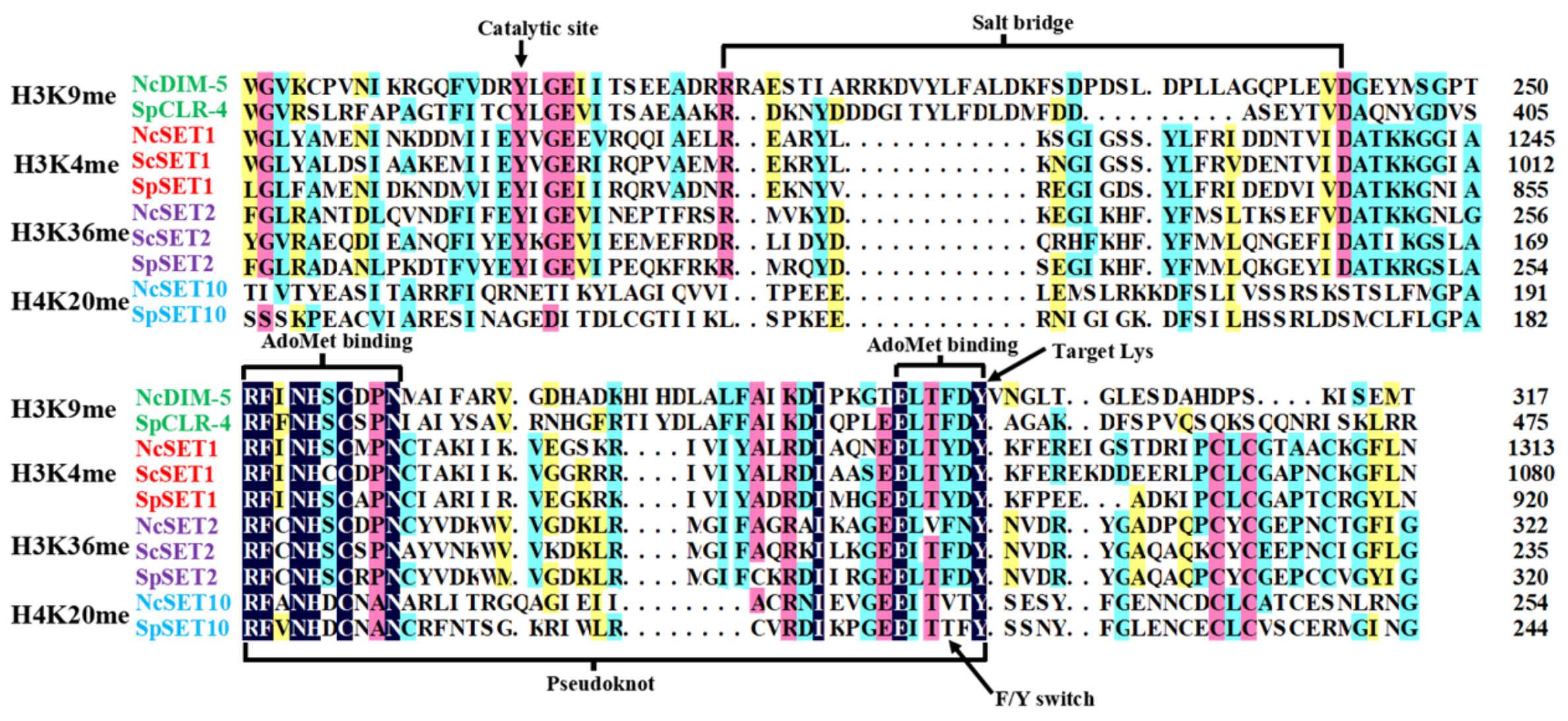 Jof 08 01159 g003 Jof 08 01159 g003
