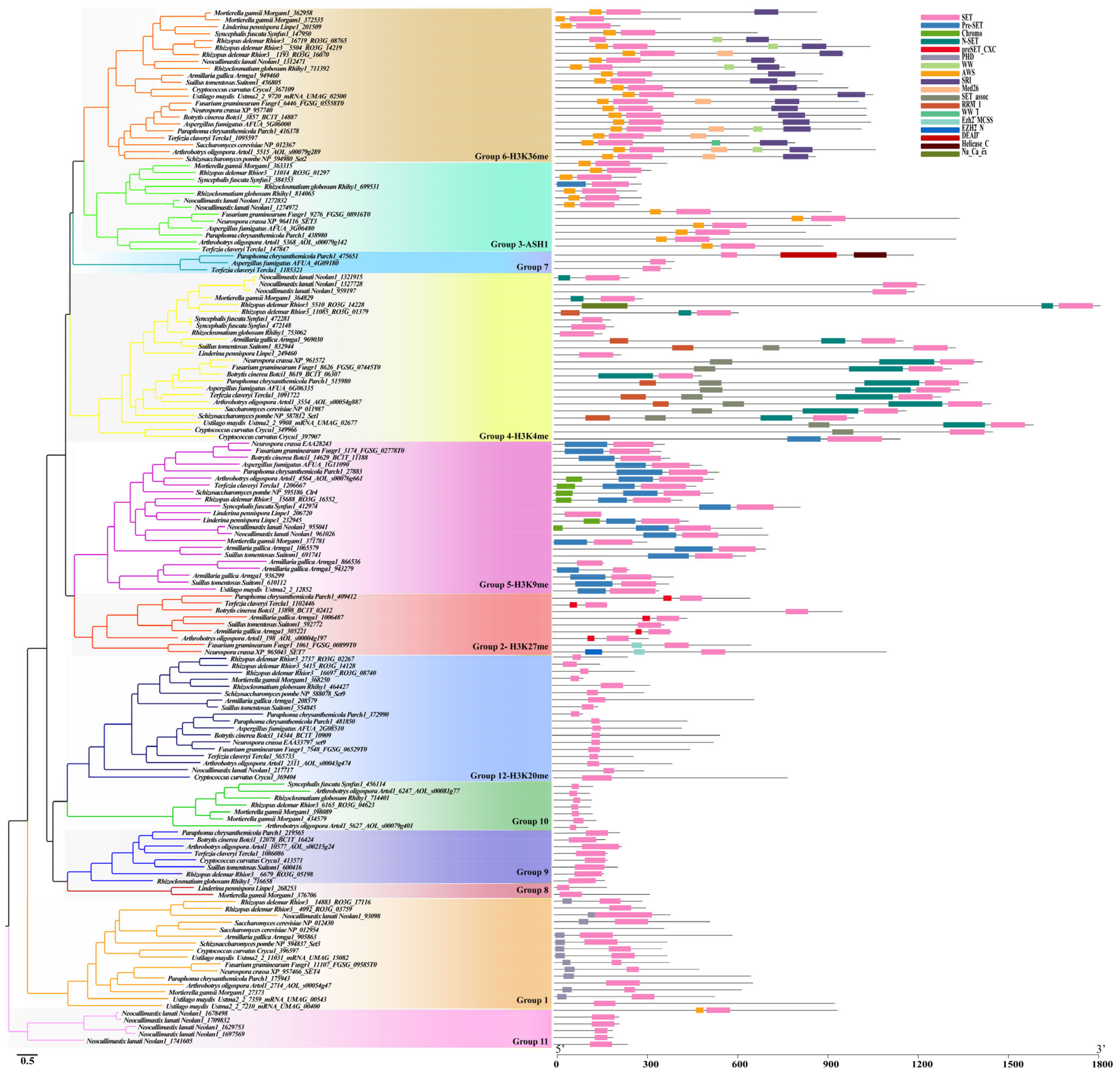 Jof 08 01159 g005 Jof 08 01159 g005