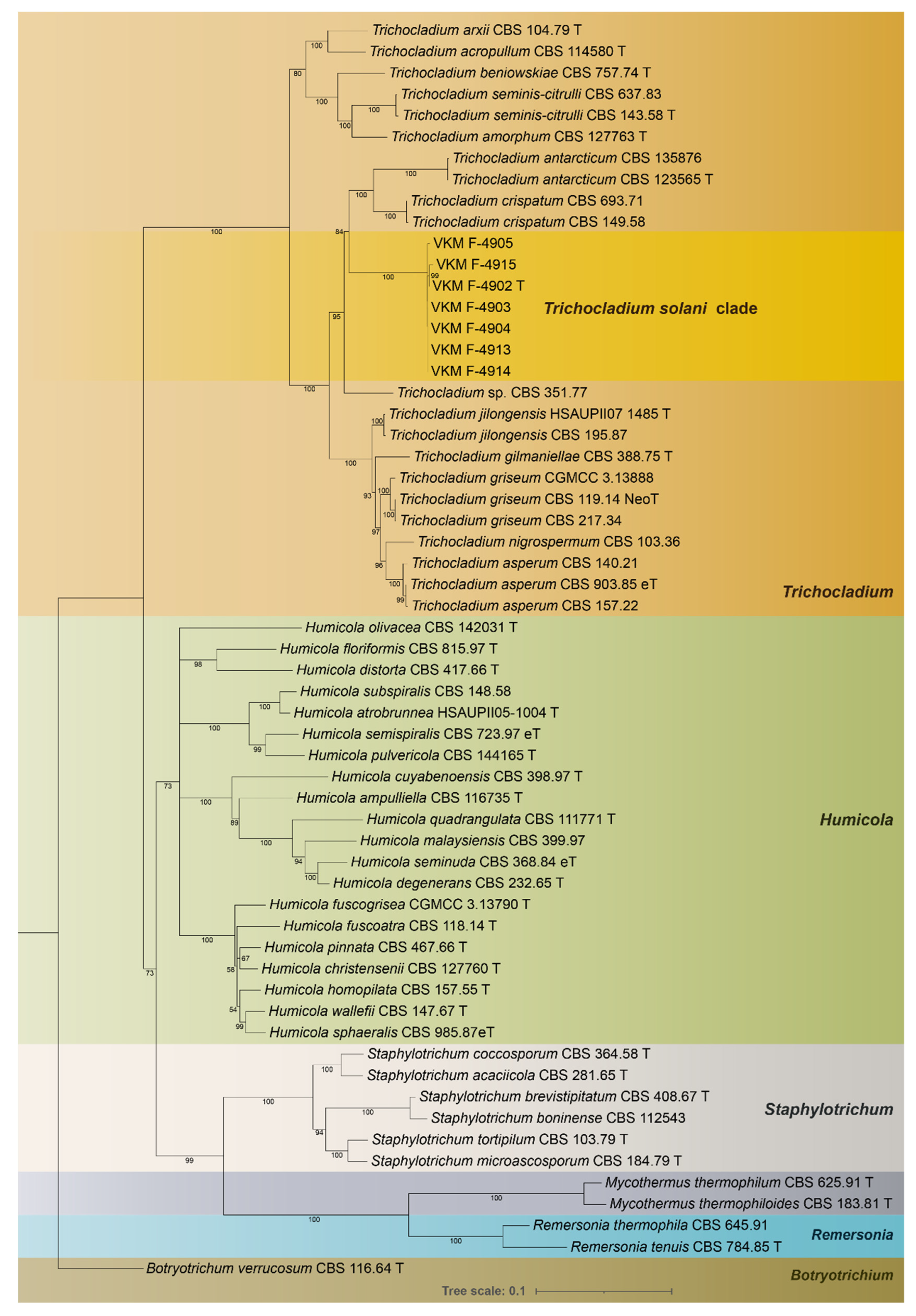 Jof 08 01160 g001 Jof 08 01160 g001