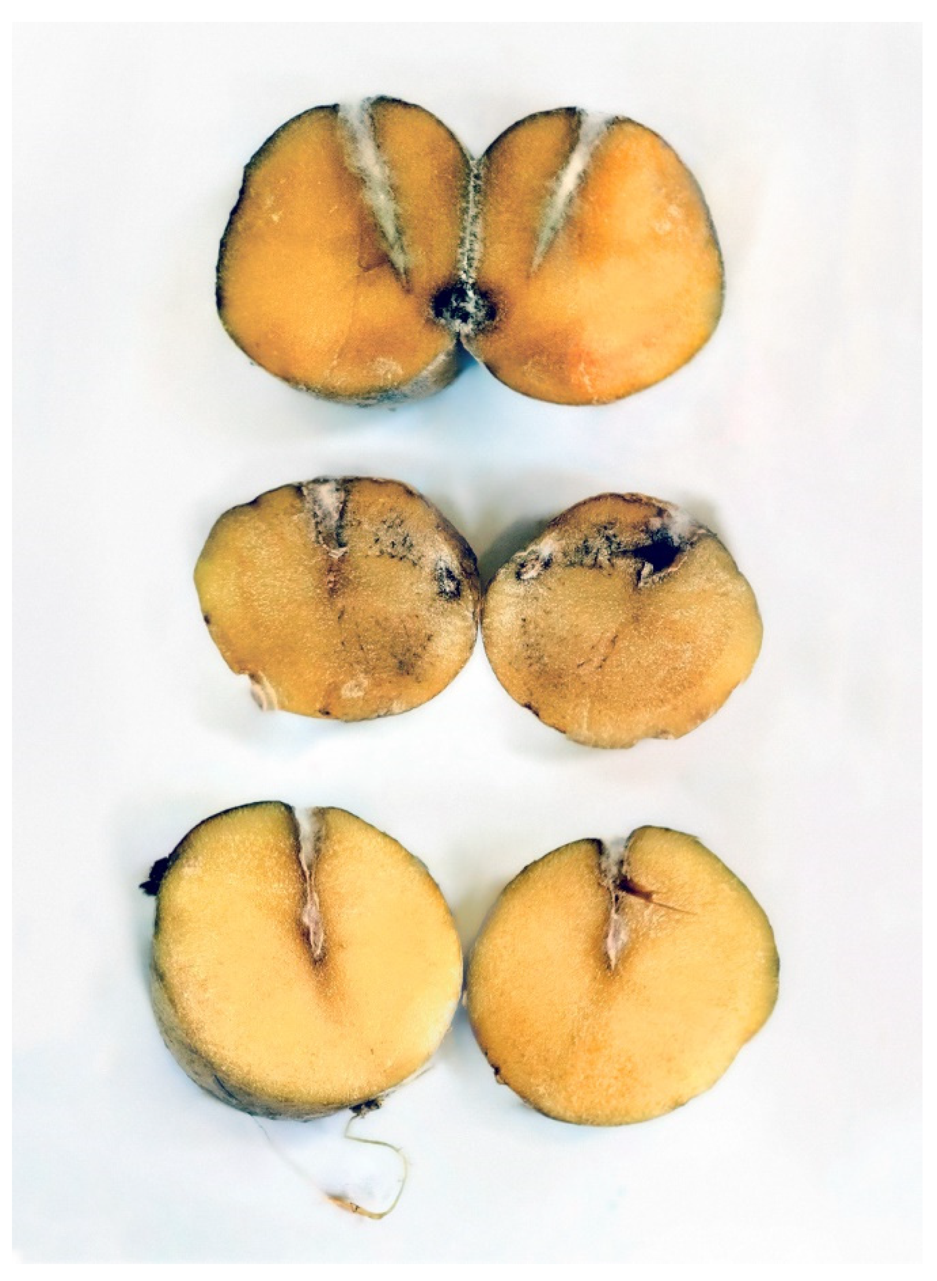 Jof 08 01160 g002 Jof 08 01160 g002