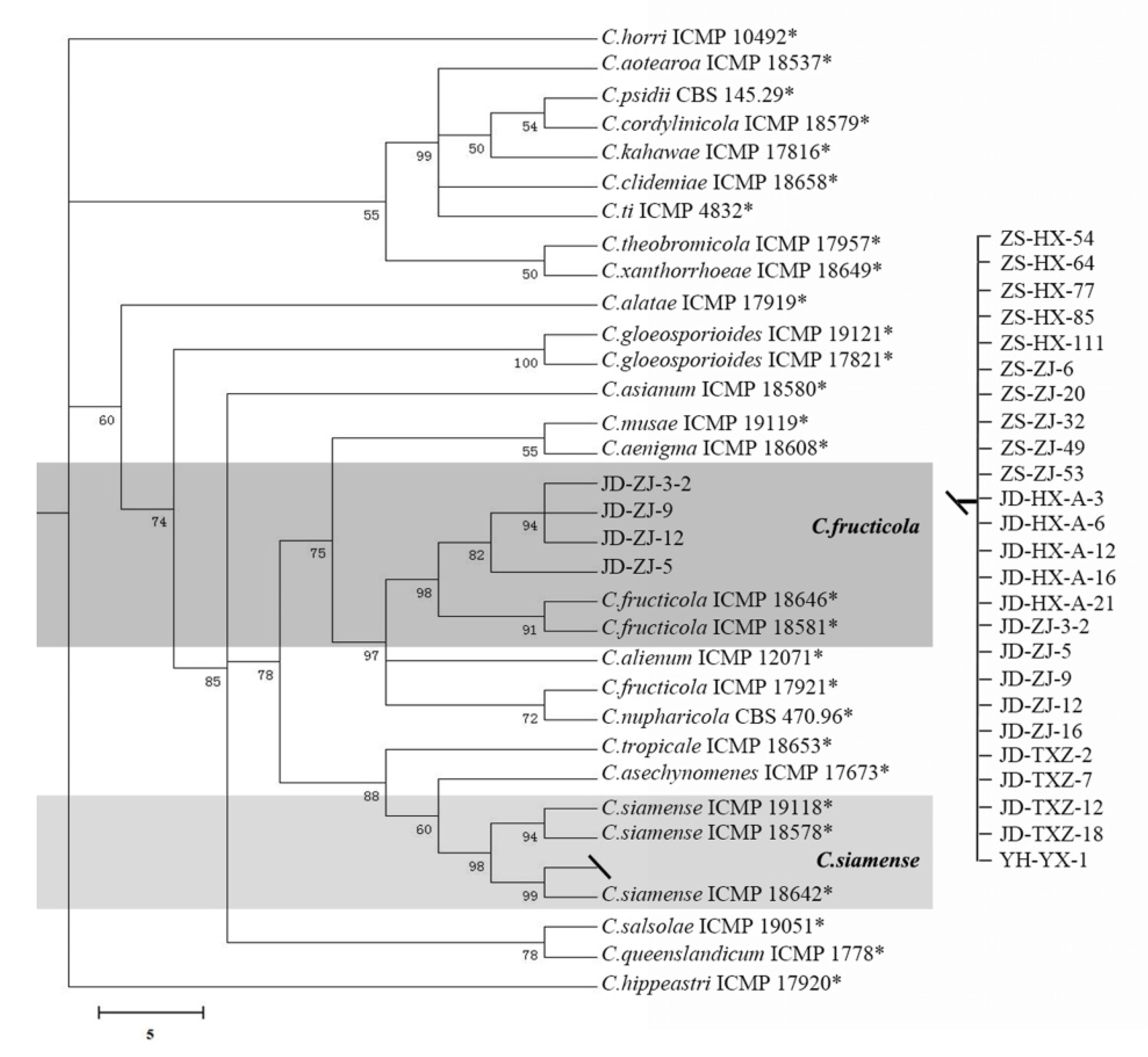 Jof 08 01161 g003 Jof 08 01161 g003