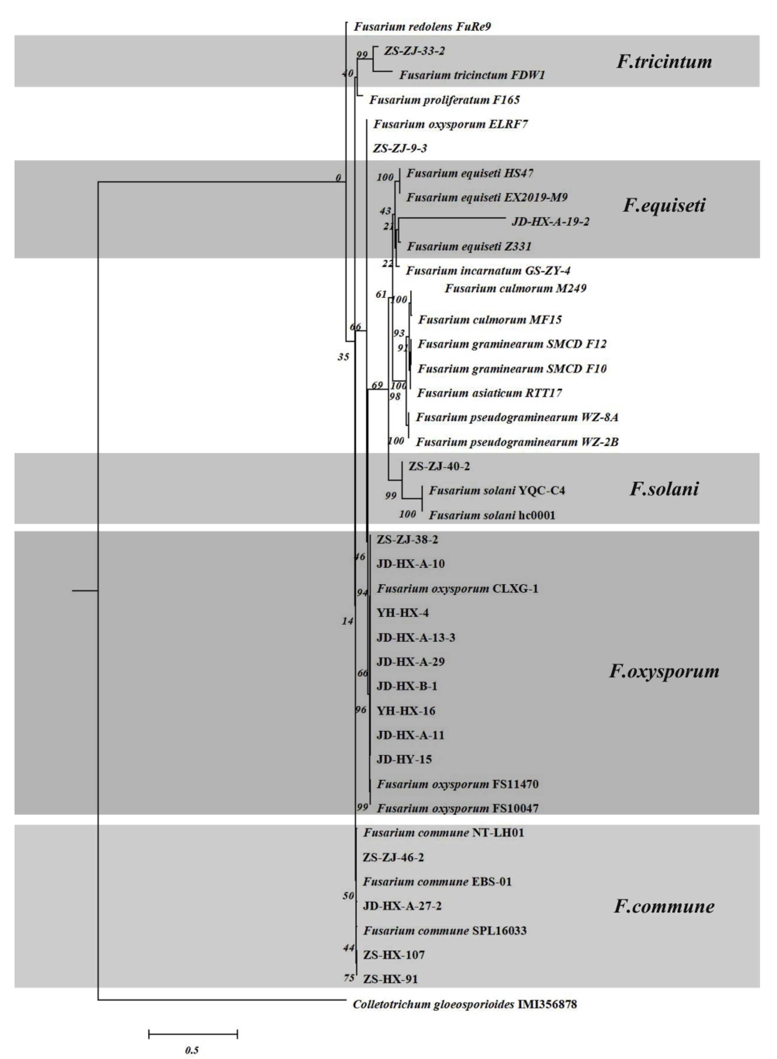 Jof 08 01161 g005 Jof 08 01161 g005