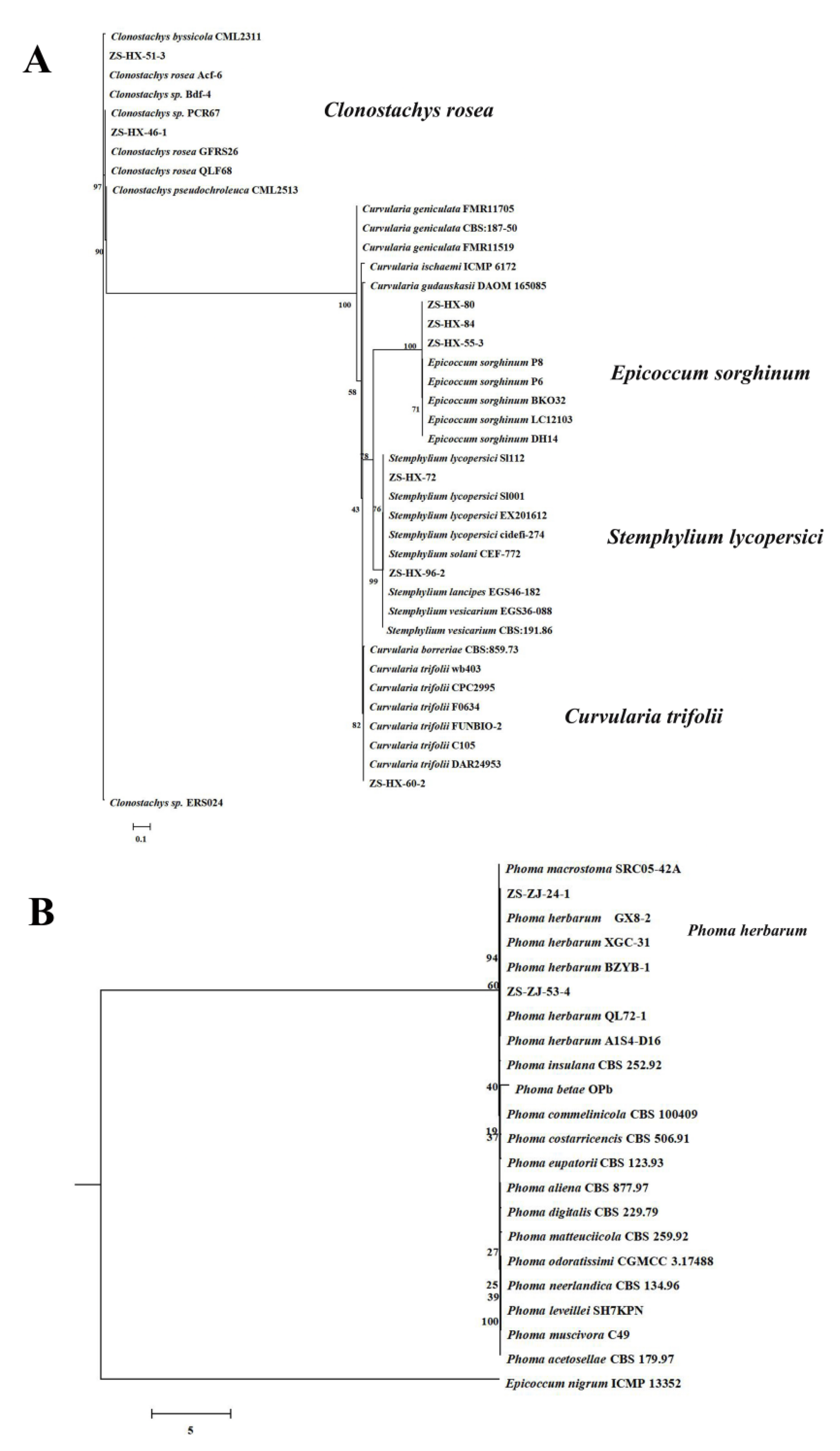 Jof 08 01161 g007 Jof 08 01161 g007