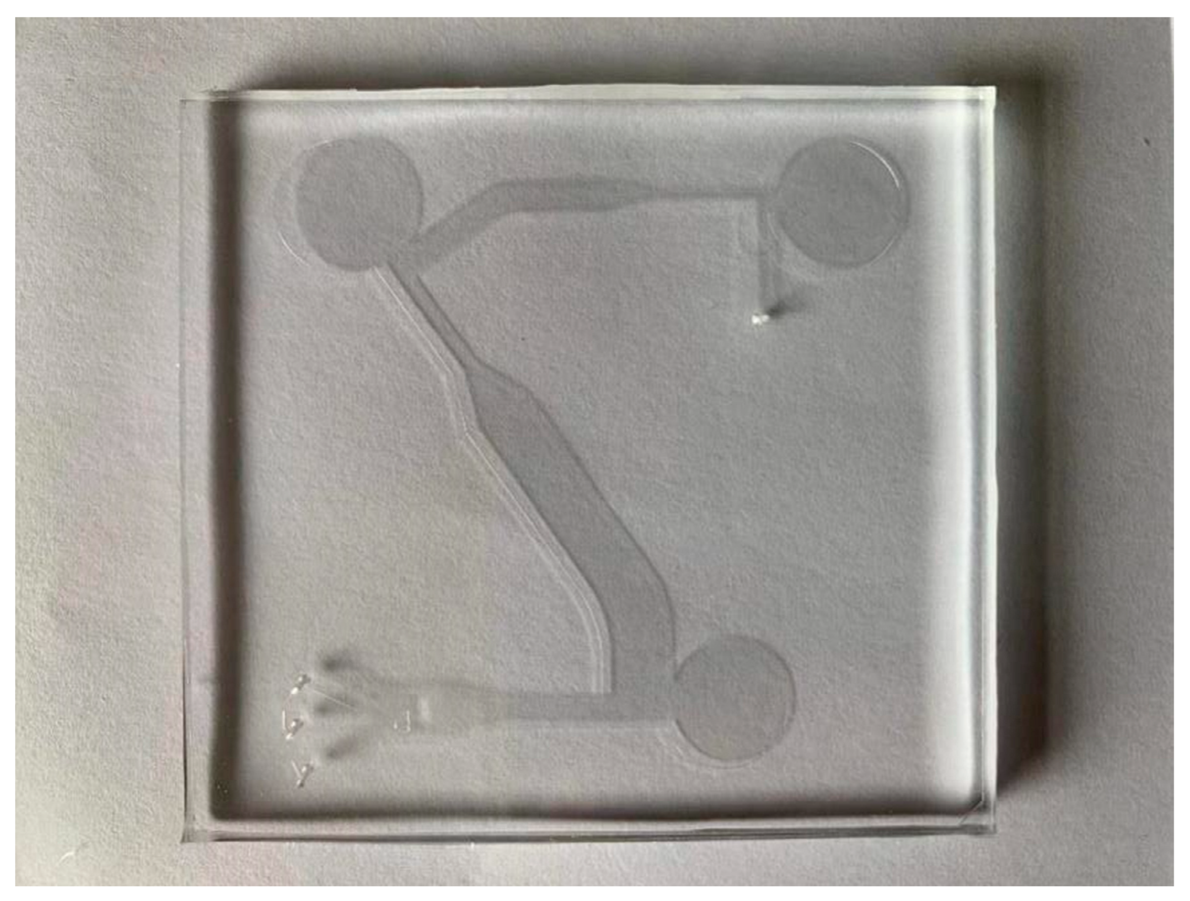 Jof 08 01168 g005 Jof 08 01168 g005