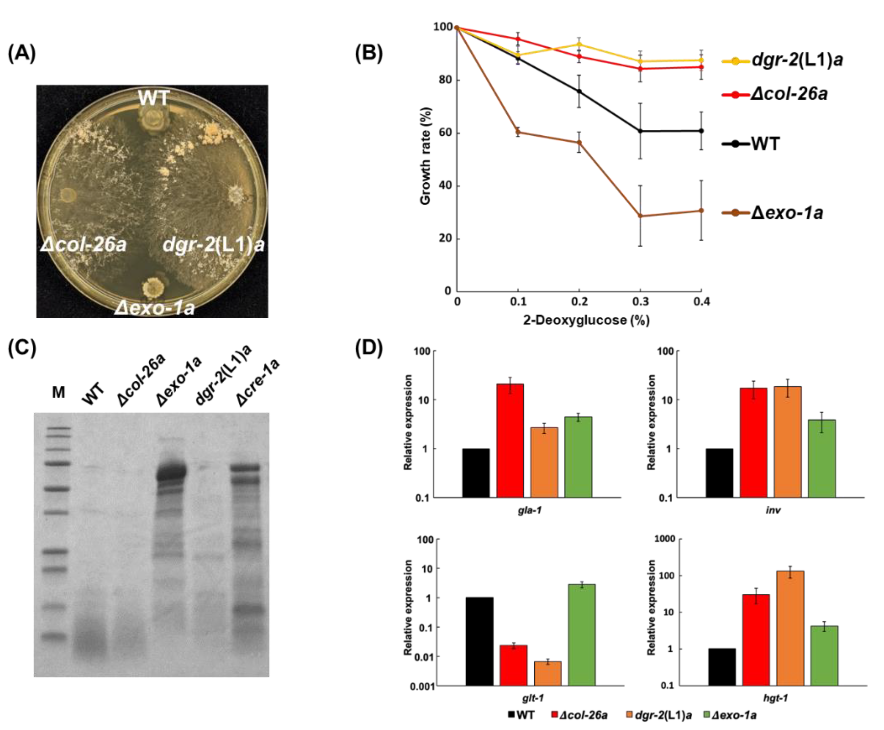 Jof 08 01169 g007 Jof 08 01169 g007