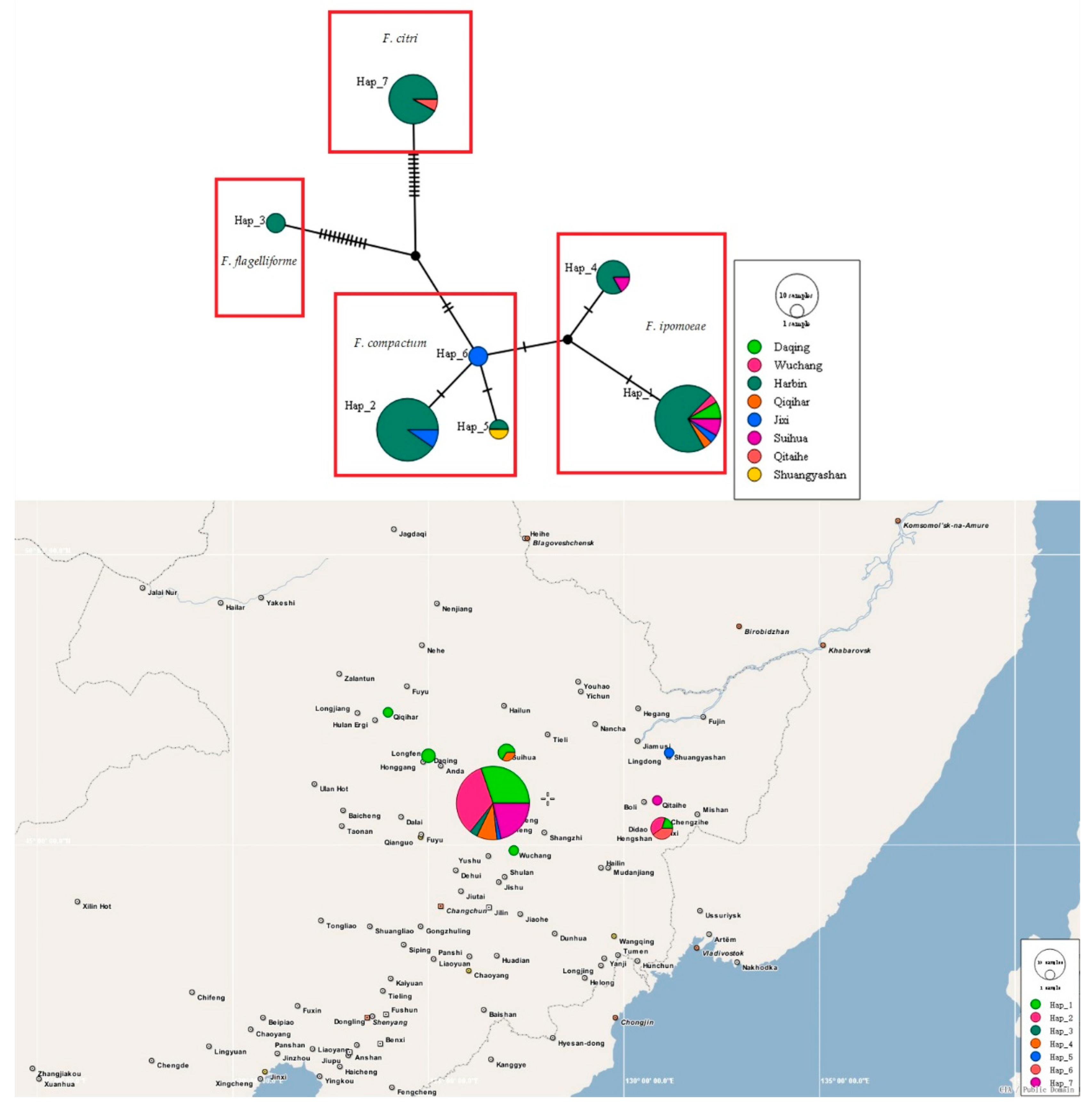 Jof 08 01170 g007 Jof 08 01170 g007