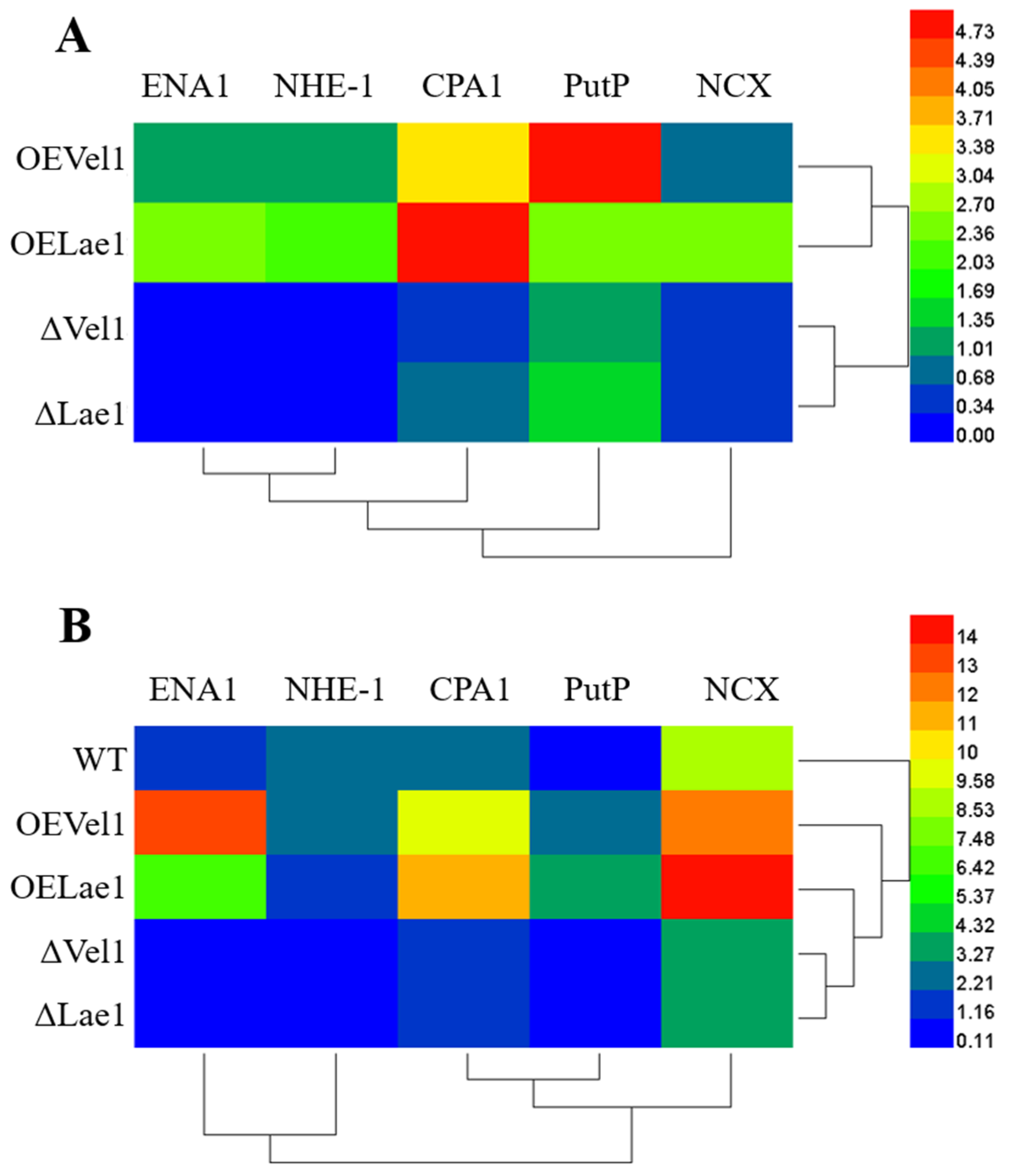 Jof 08 01176 g003 Jof 08 01176 g003