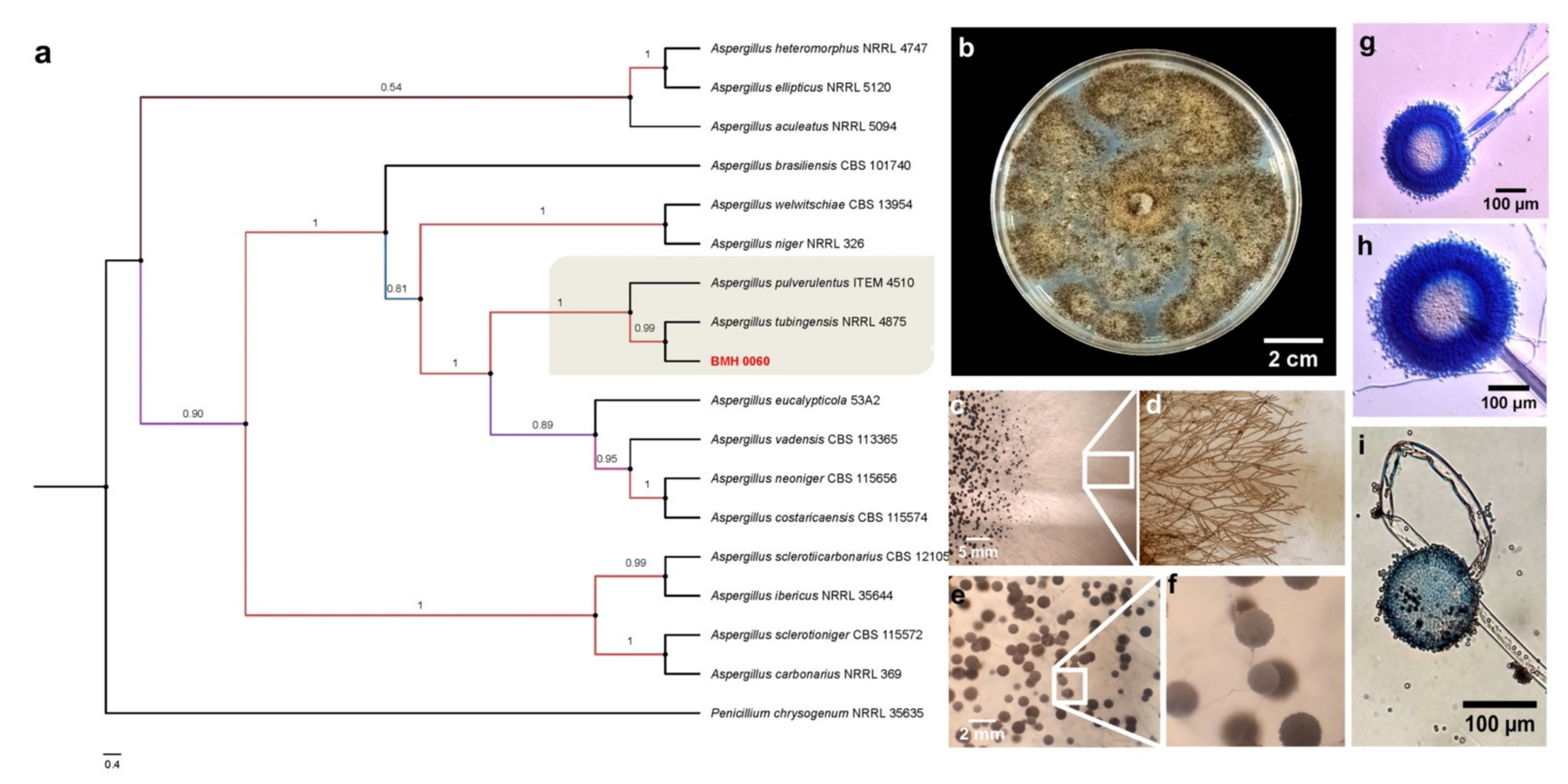 Jof 08 01178 g004 Jof 08 01178 g004