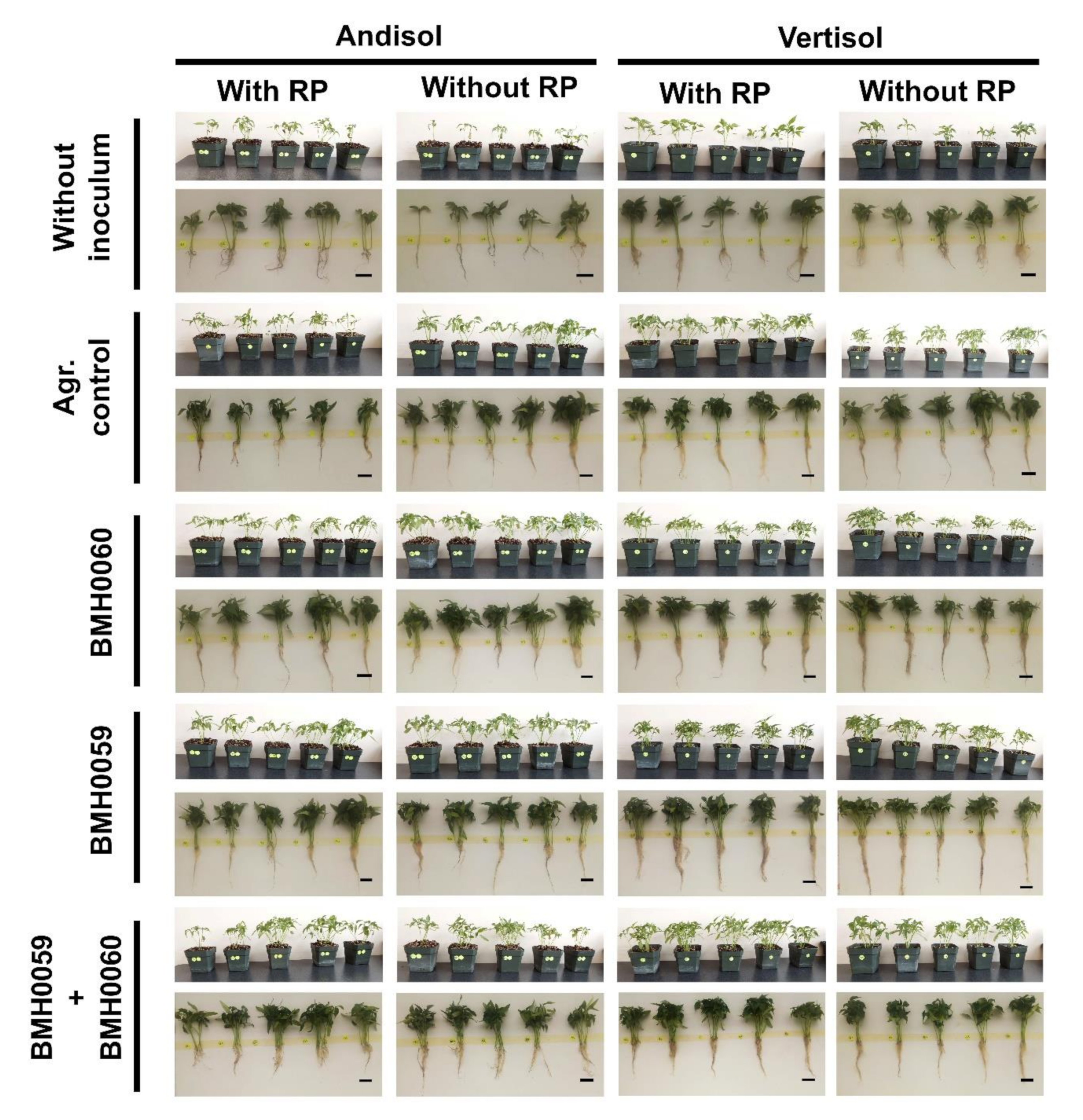 Jof 08 01178 g009 Jof 08 01178 g009