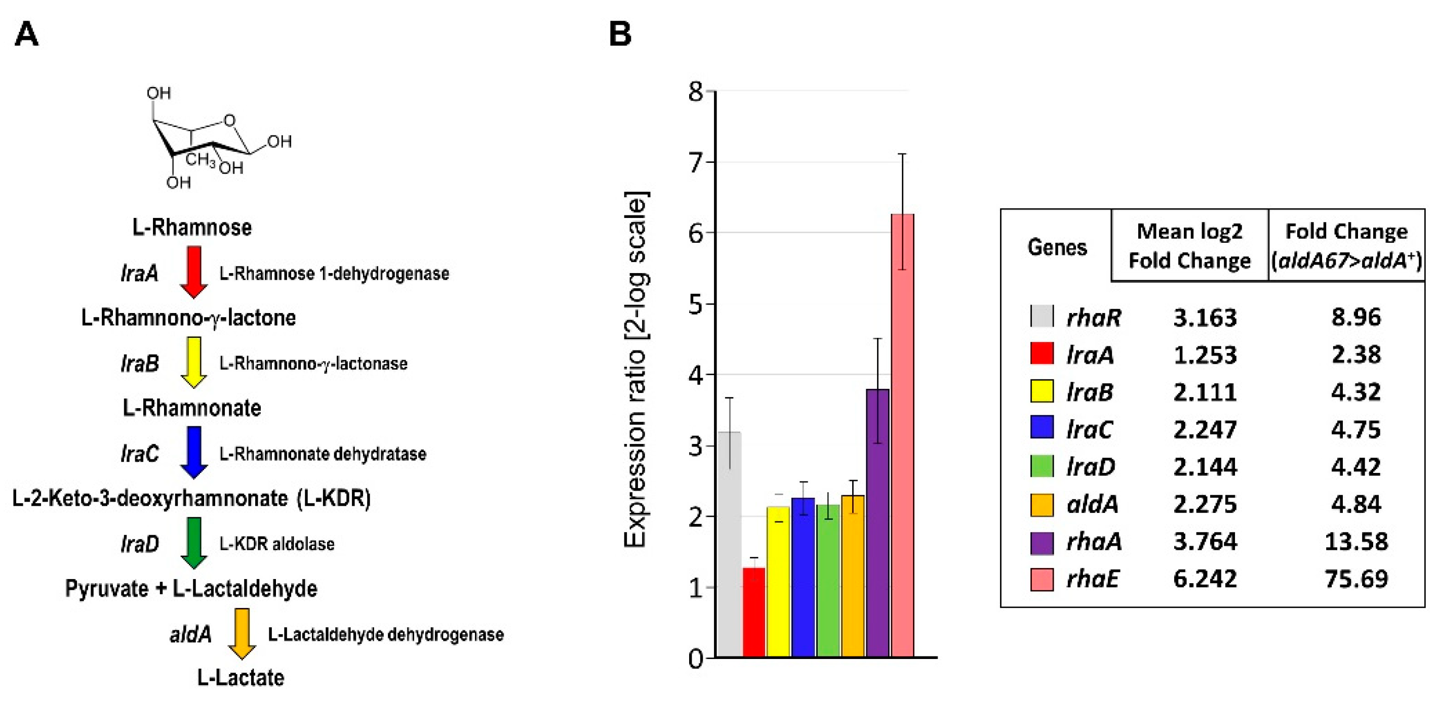 Jof 08 01181 g001 Jof 08 01181 g001