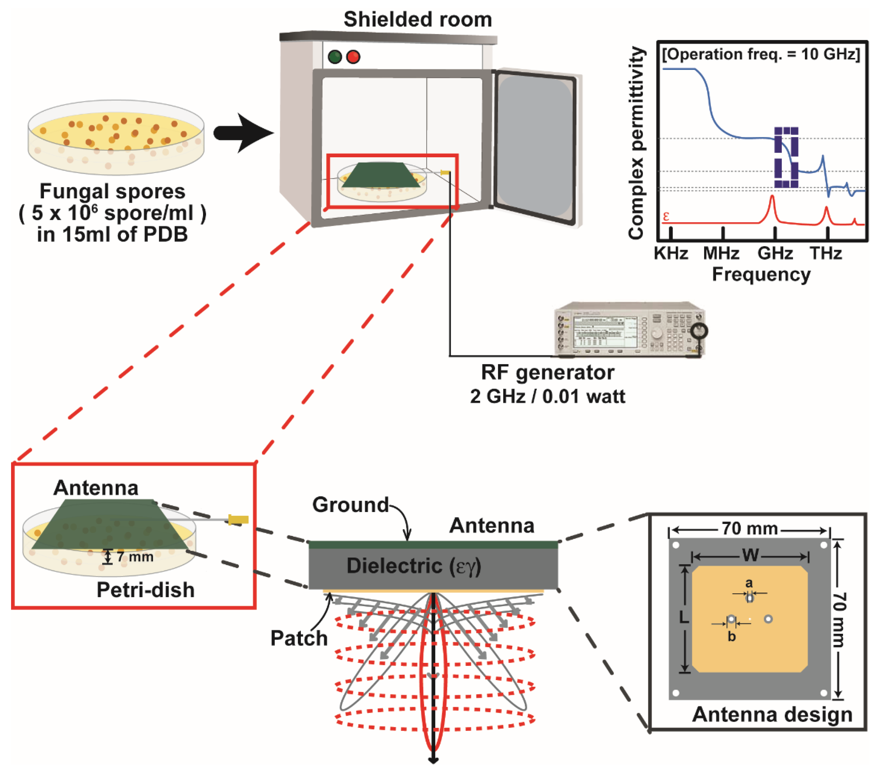 Jof 08 01187 g001 Jof 08 01187 g001