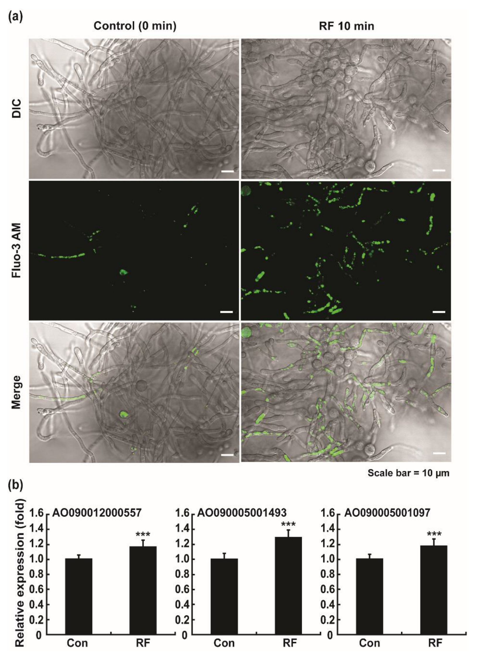 Jof 08 01187 g007 Jof 08 01187 g007