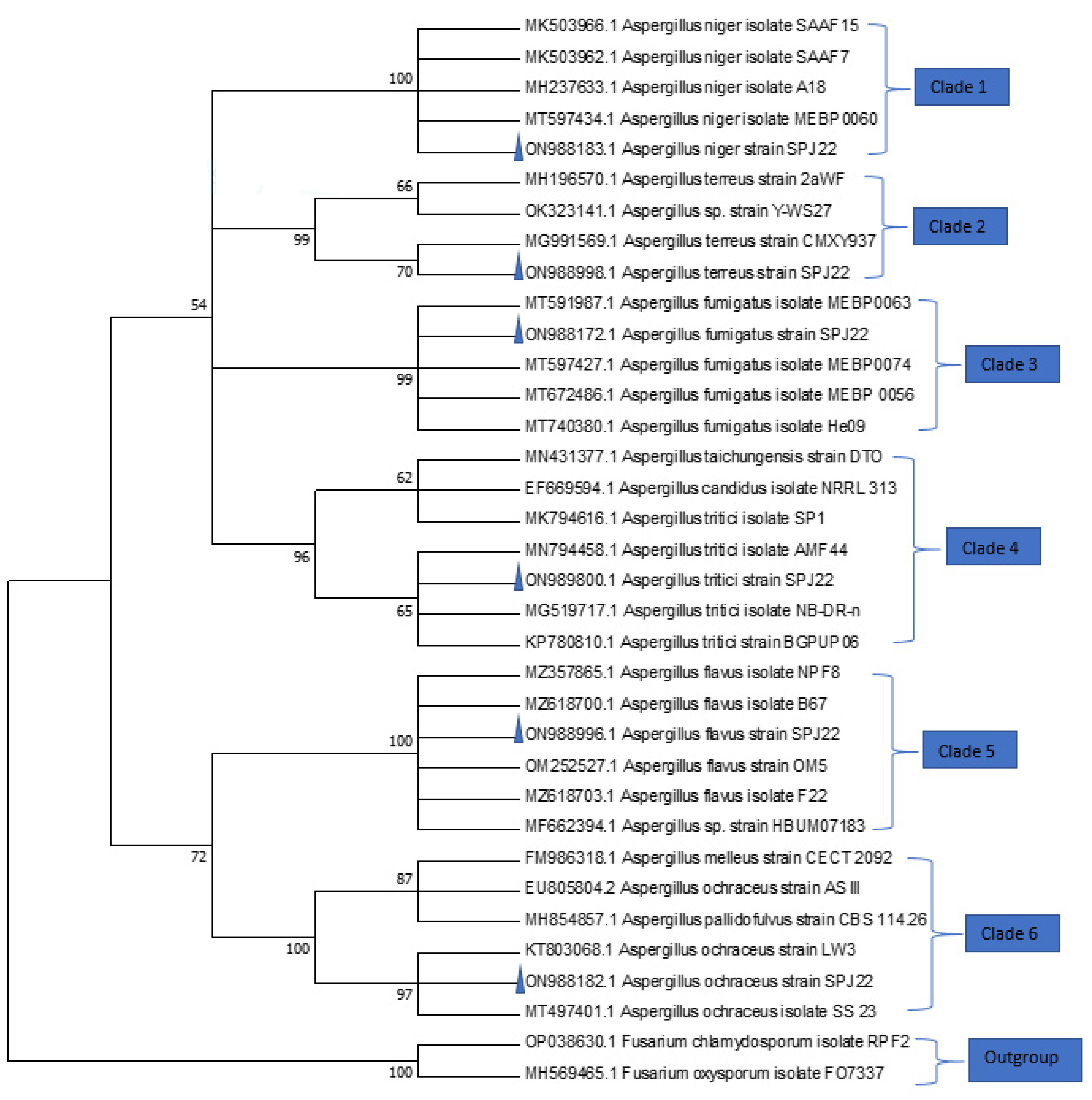Jof 08 01192 g001 Jof 08 01192 g001