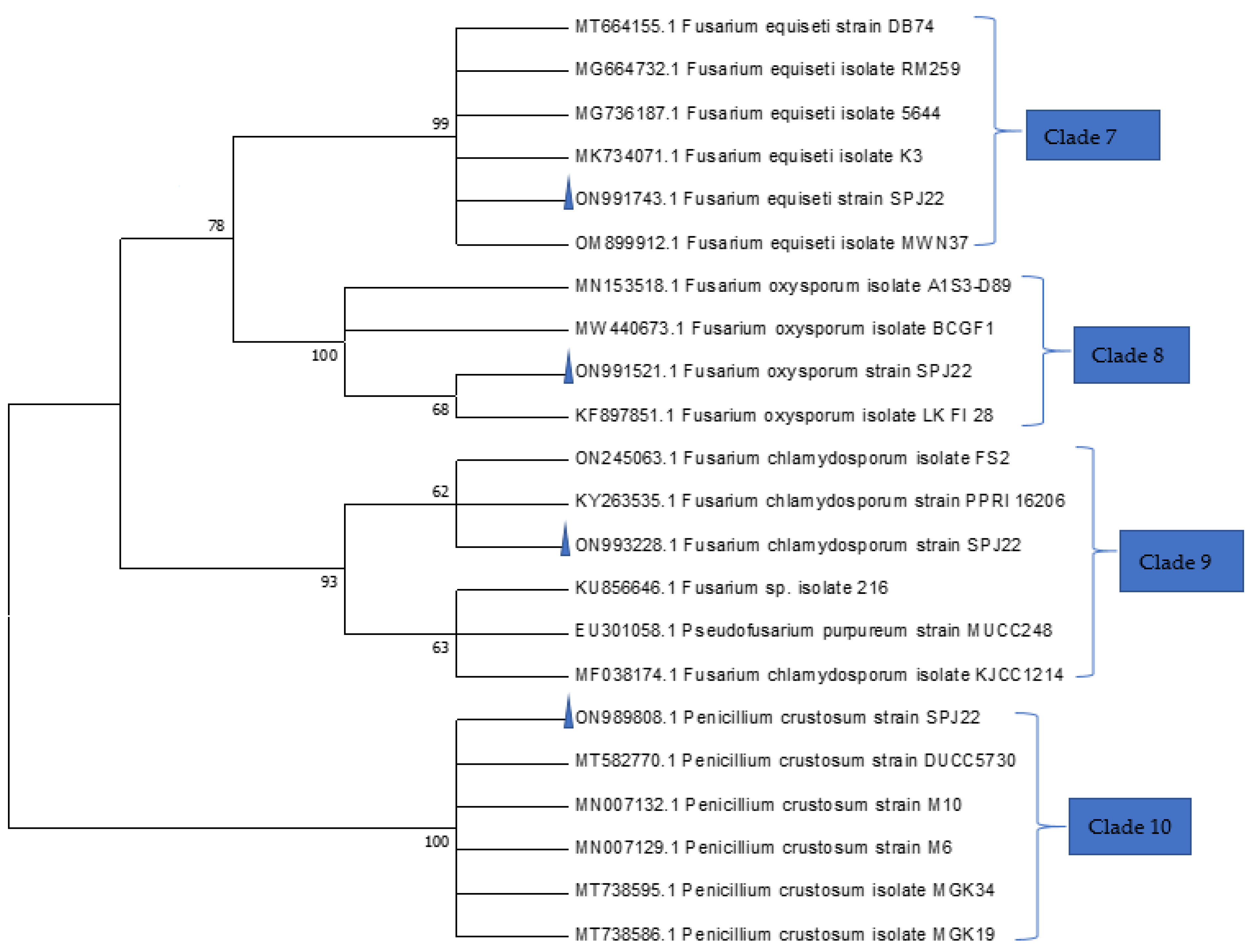 Jof 08 01192 g002 Jof 08 01192 g002