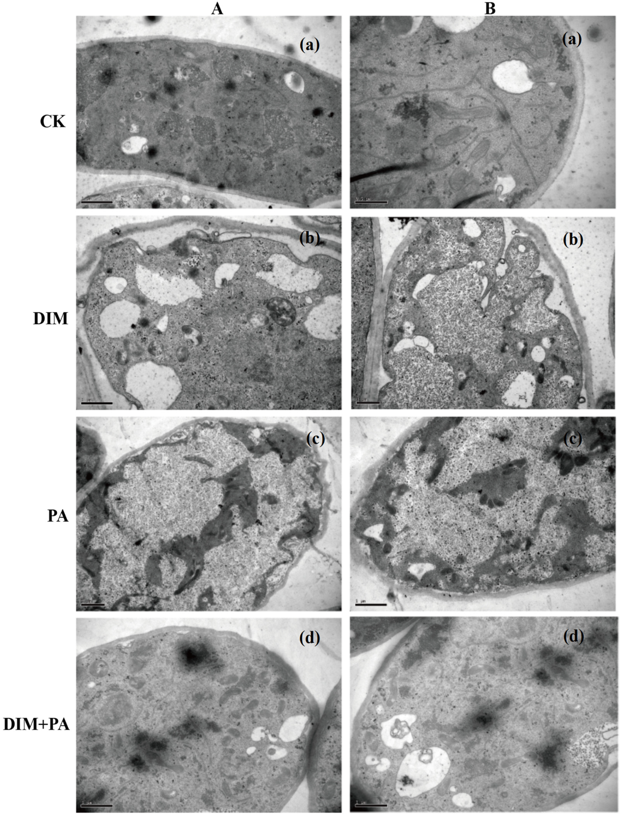 Jof 08 01193 g005 Jof 08 01193 g005