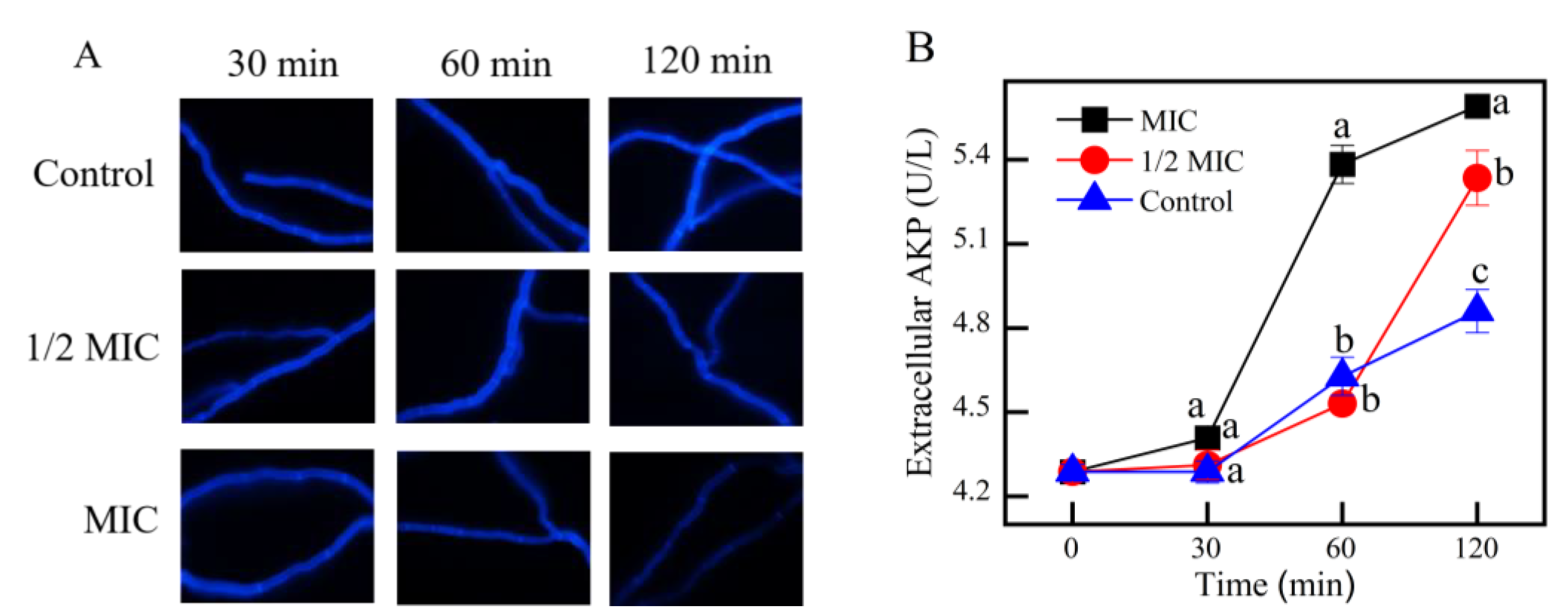 Jof 08 01199 g006 Jof 08 01199 g006
