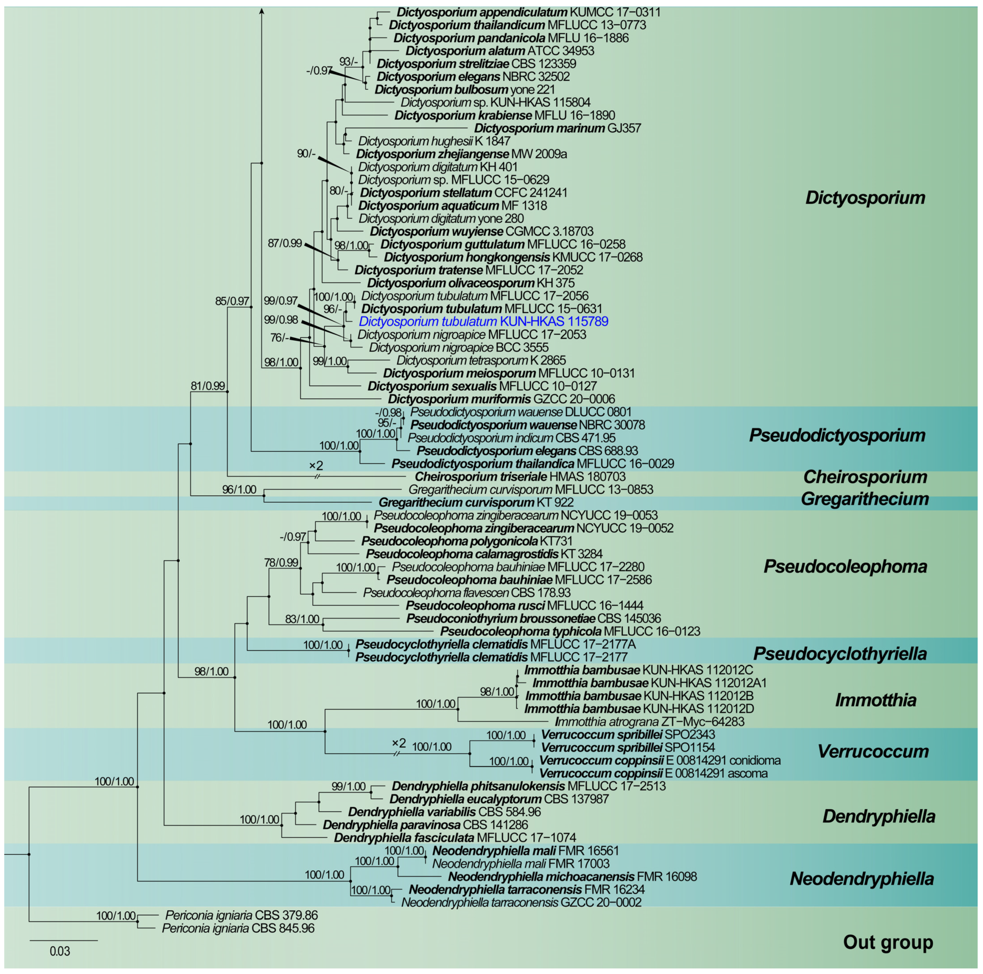 Jof 08 01200 g001b Jof 08 01200 g001b