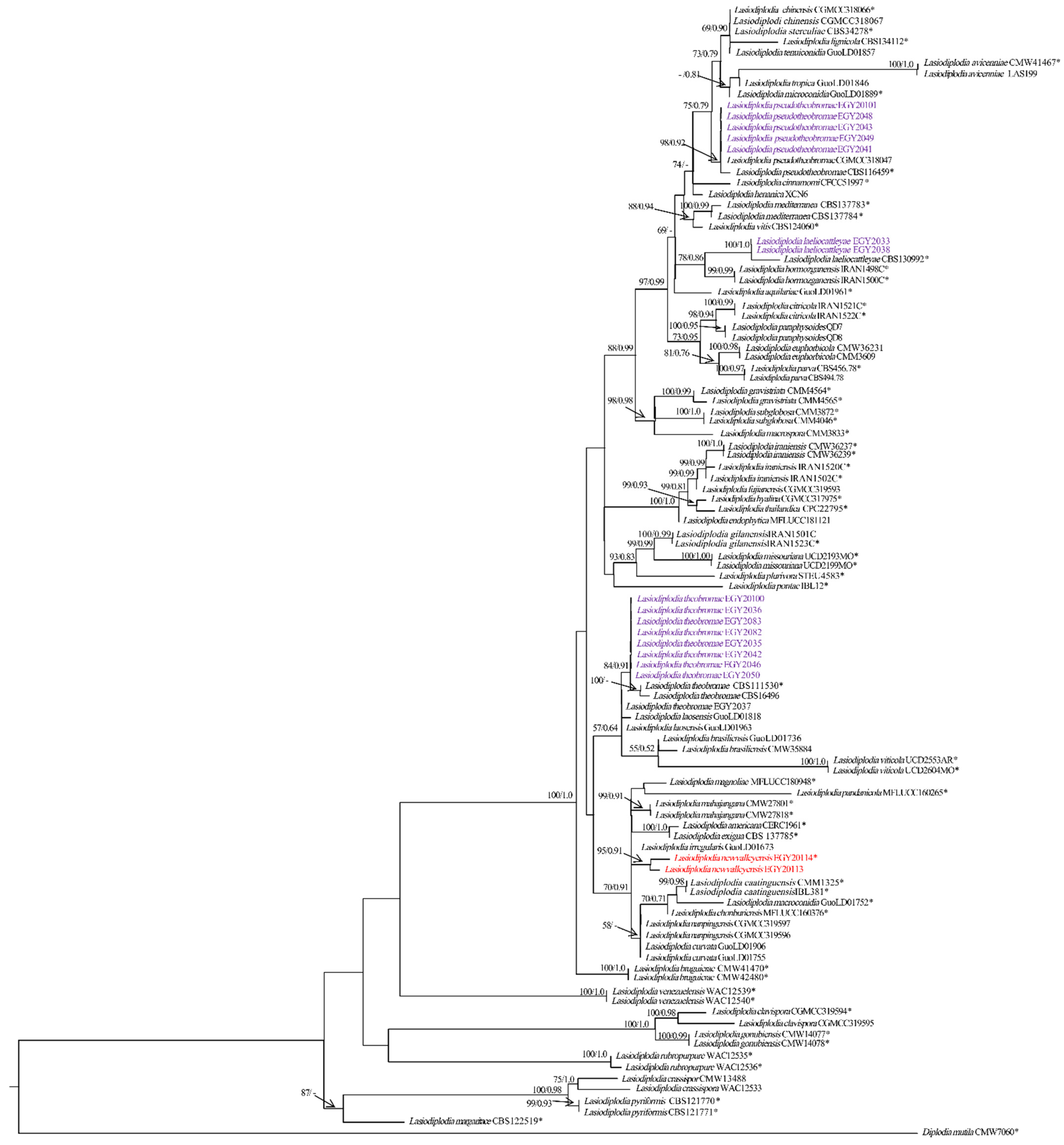 Jof 08 01203 g006 Jof 08 01203 g006