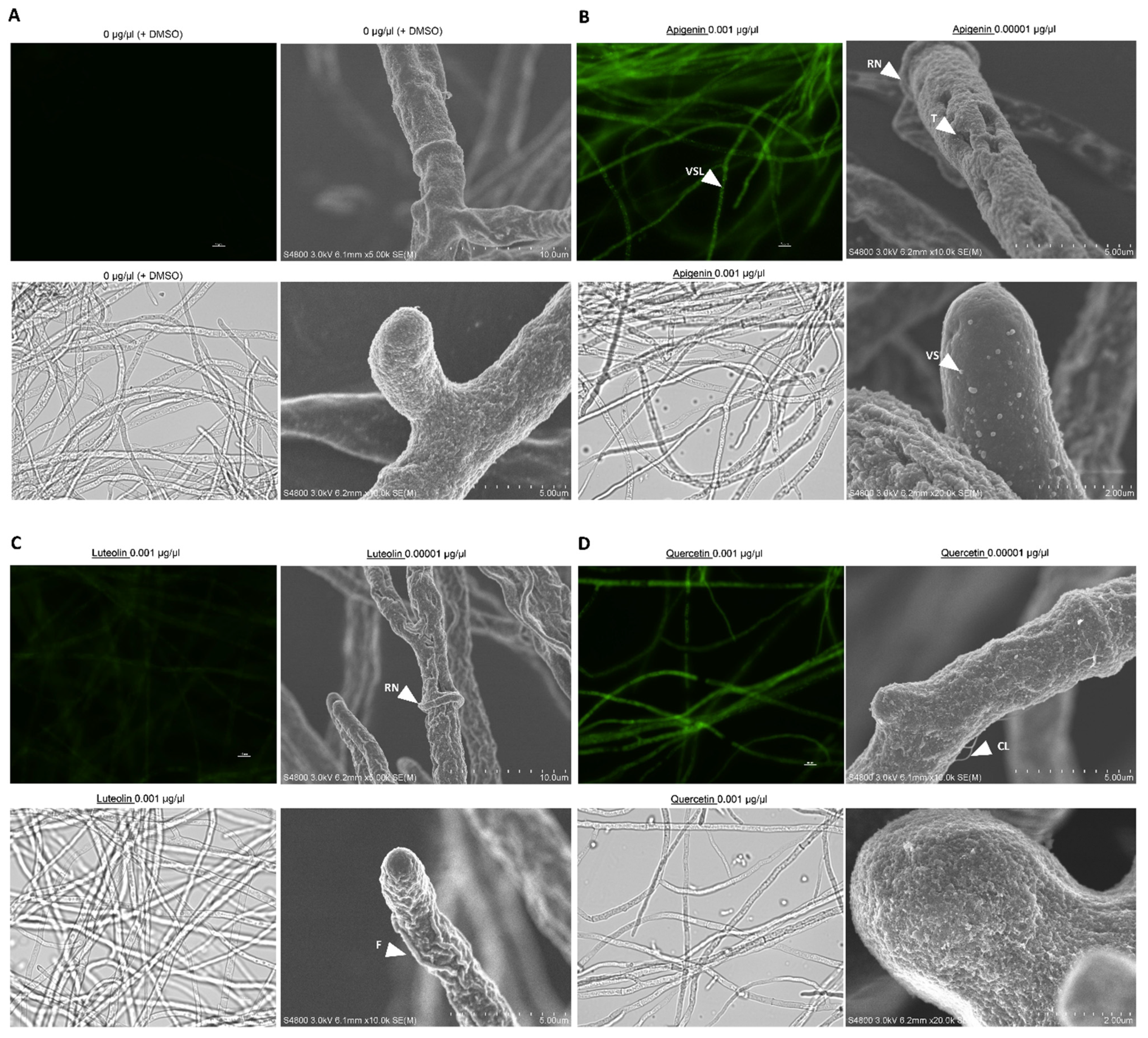 Jof 08 01211 g003 Jof 08 01211 g003