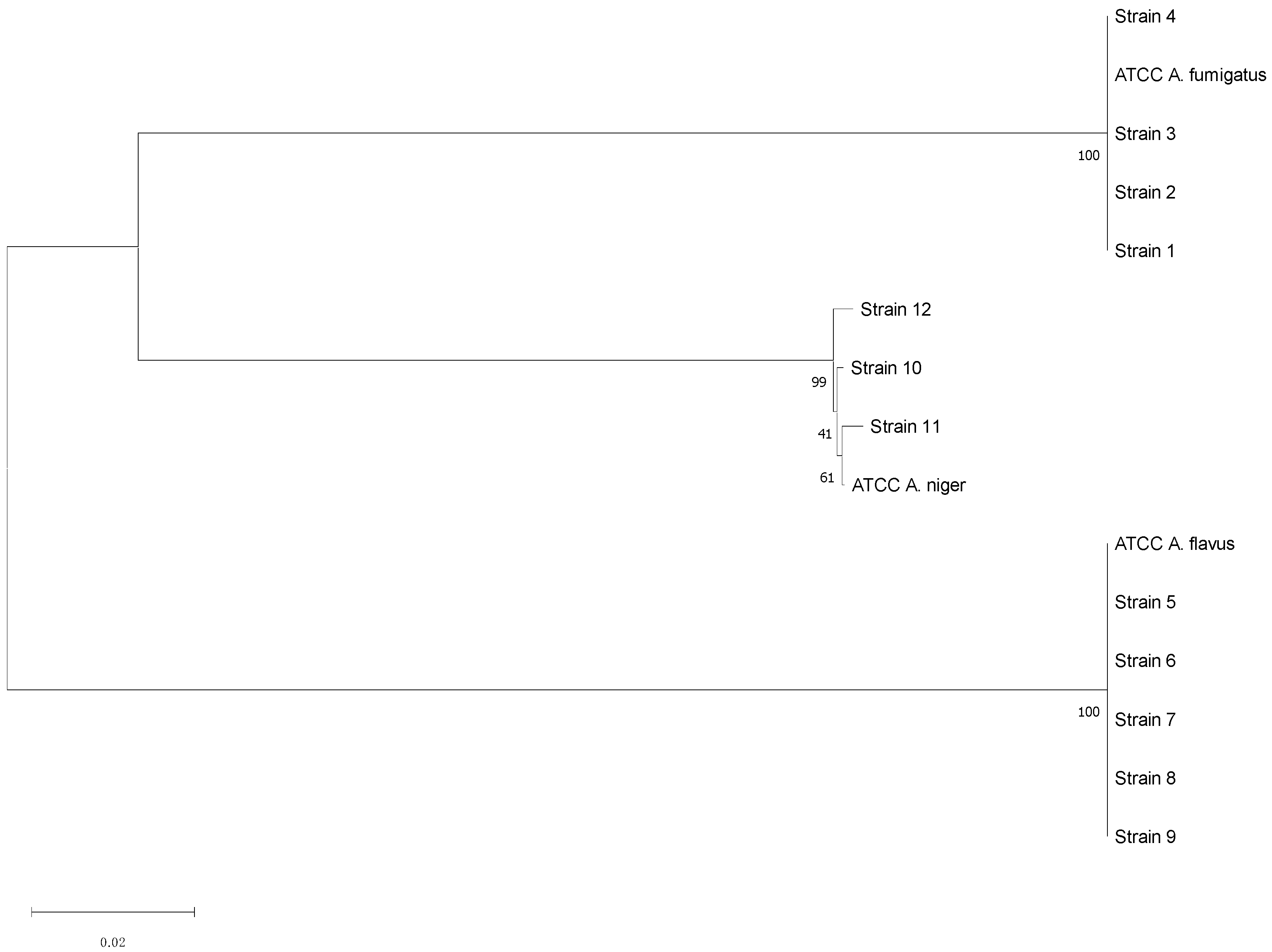 Jof 08 01213 g004 Jof 08 01213 g004