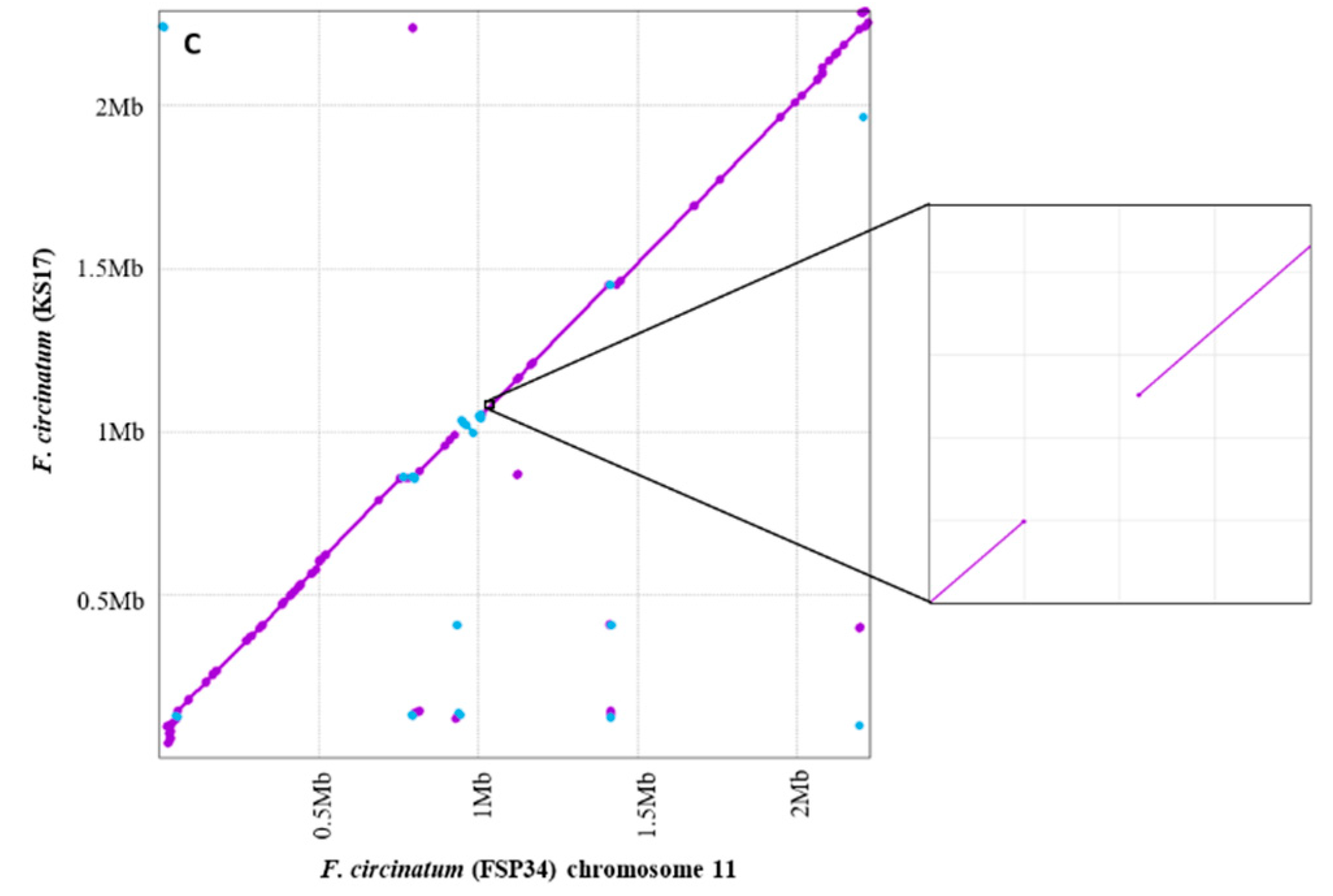 Jof 08 01214 g003b Jof 08 01214 g003b
