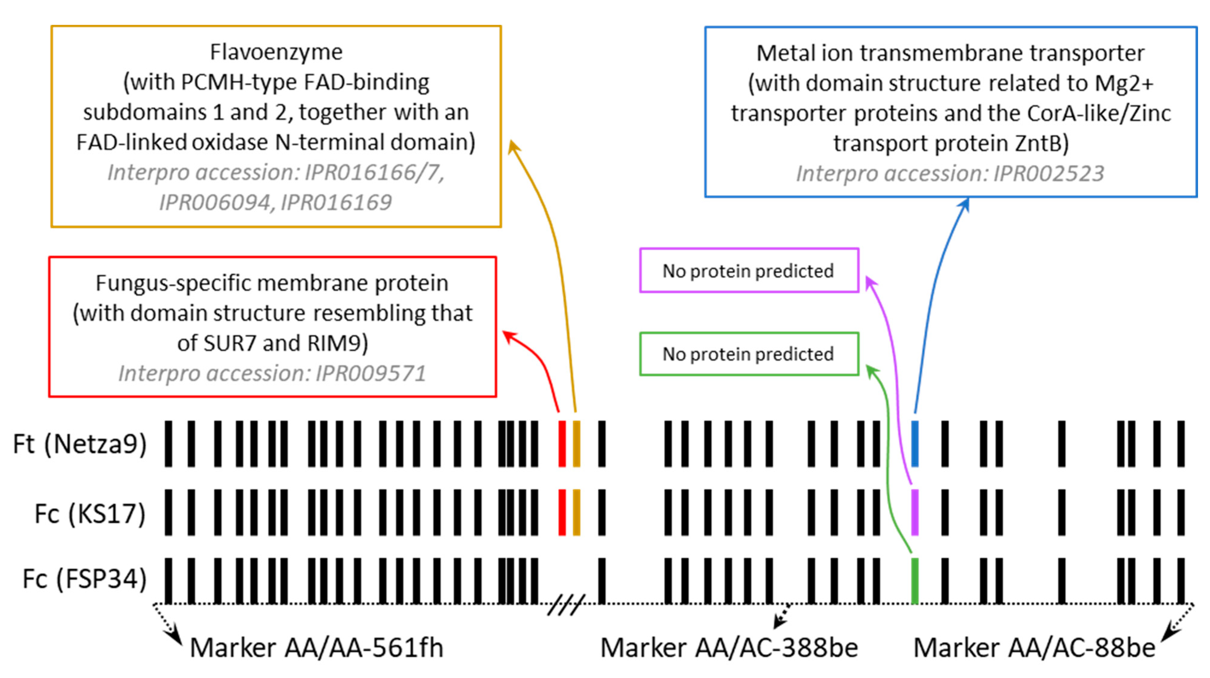 Jof 08 01214 g004 Jof 08 01214 g004