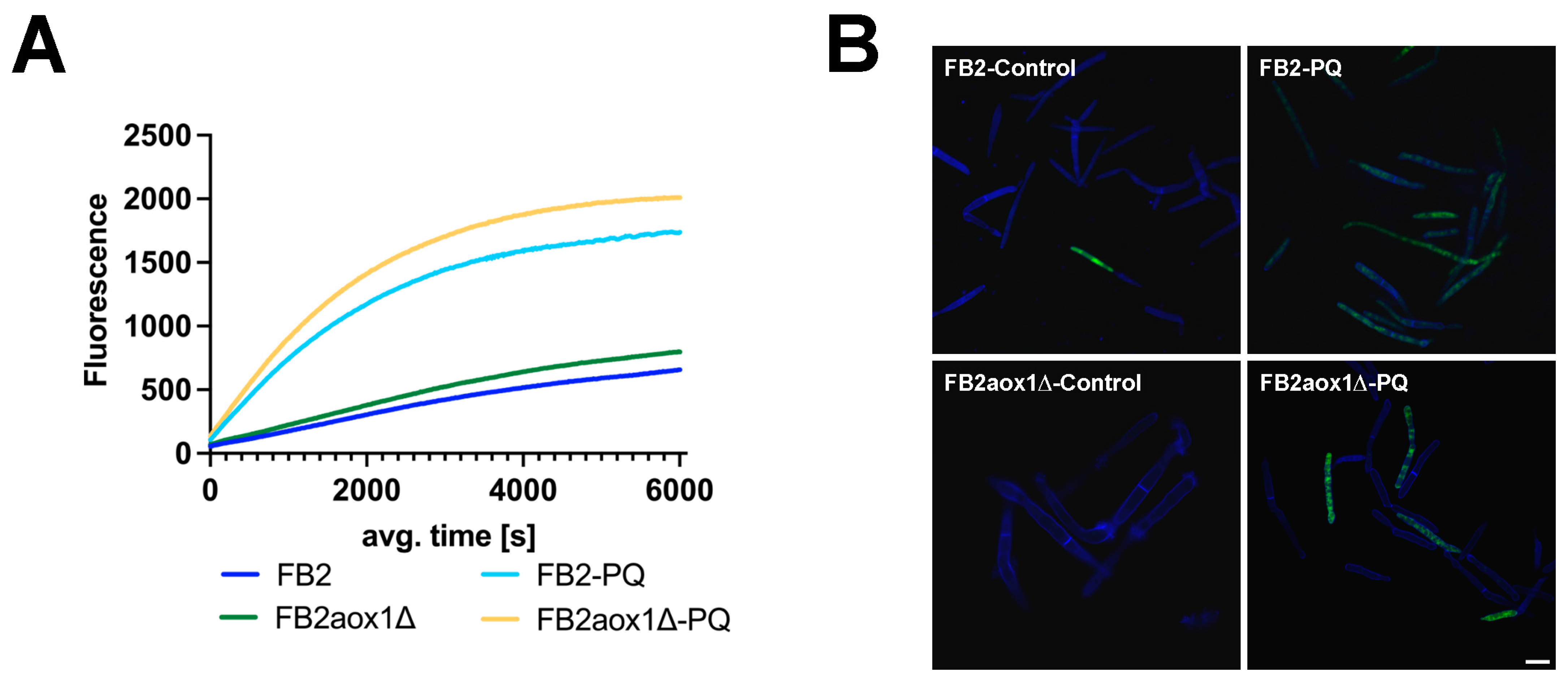 Jof 08 01221 g003 Jof 08 01221 g003