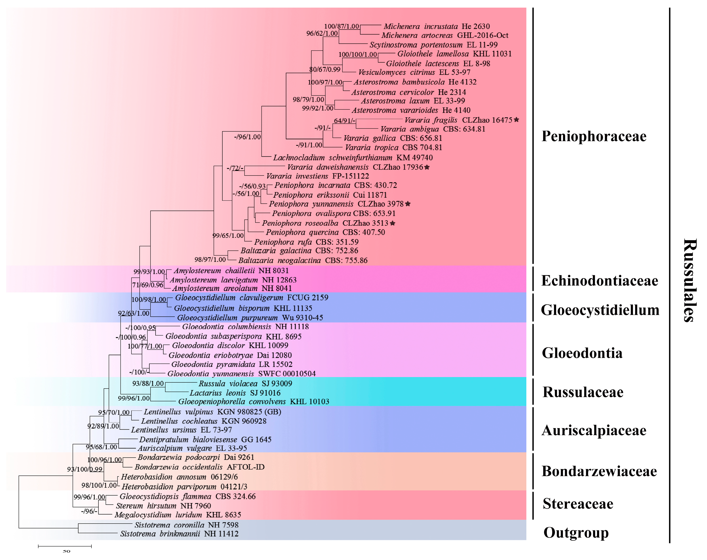 Jof 08 01227 g001 Jof 08 01227 g001