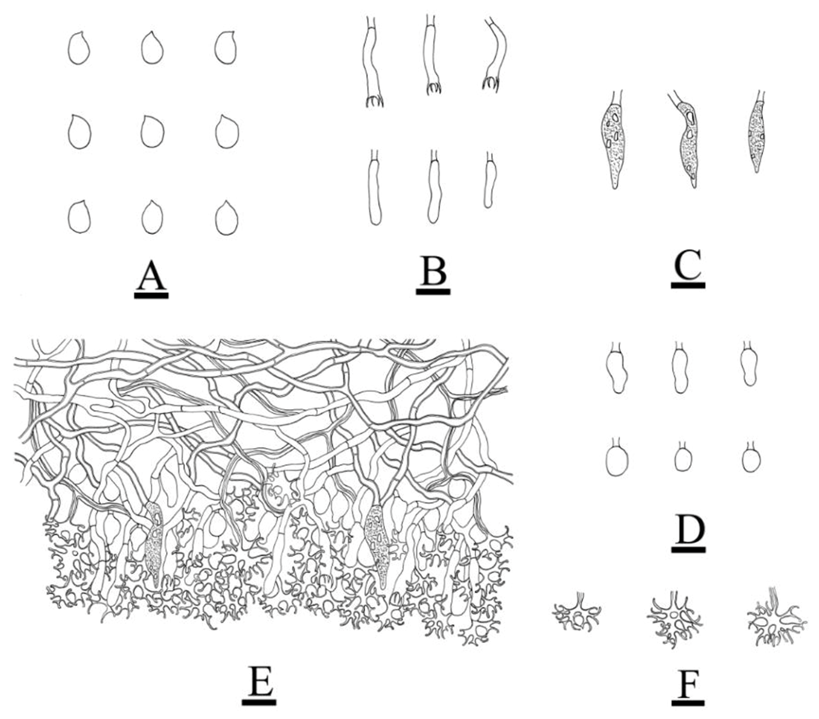 Jof 08 01227 g011 Jof 08 01227 g011