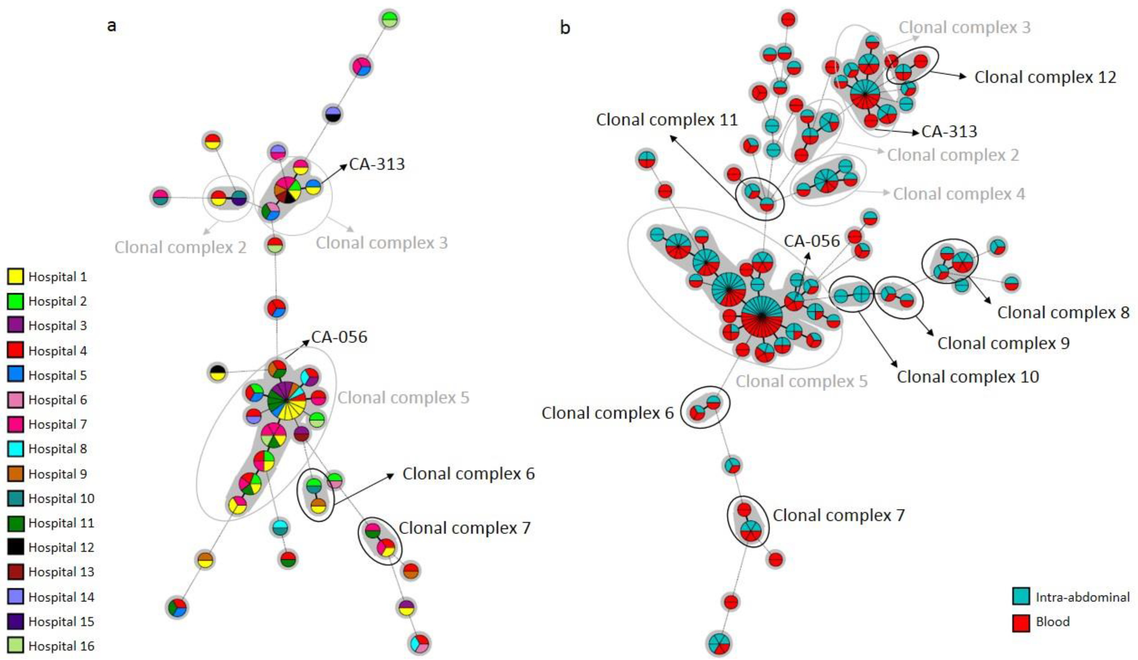 Jof 08 01228 g003 Jof 08 01228 g003