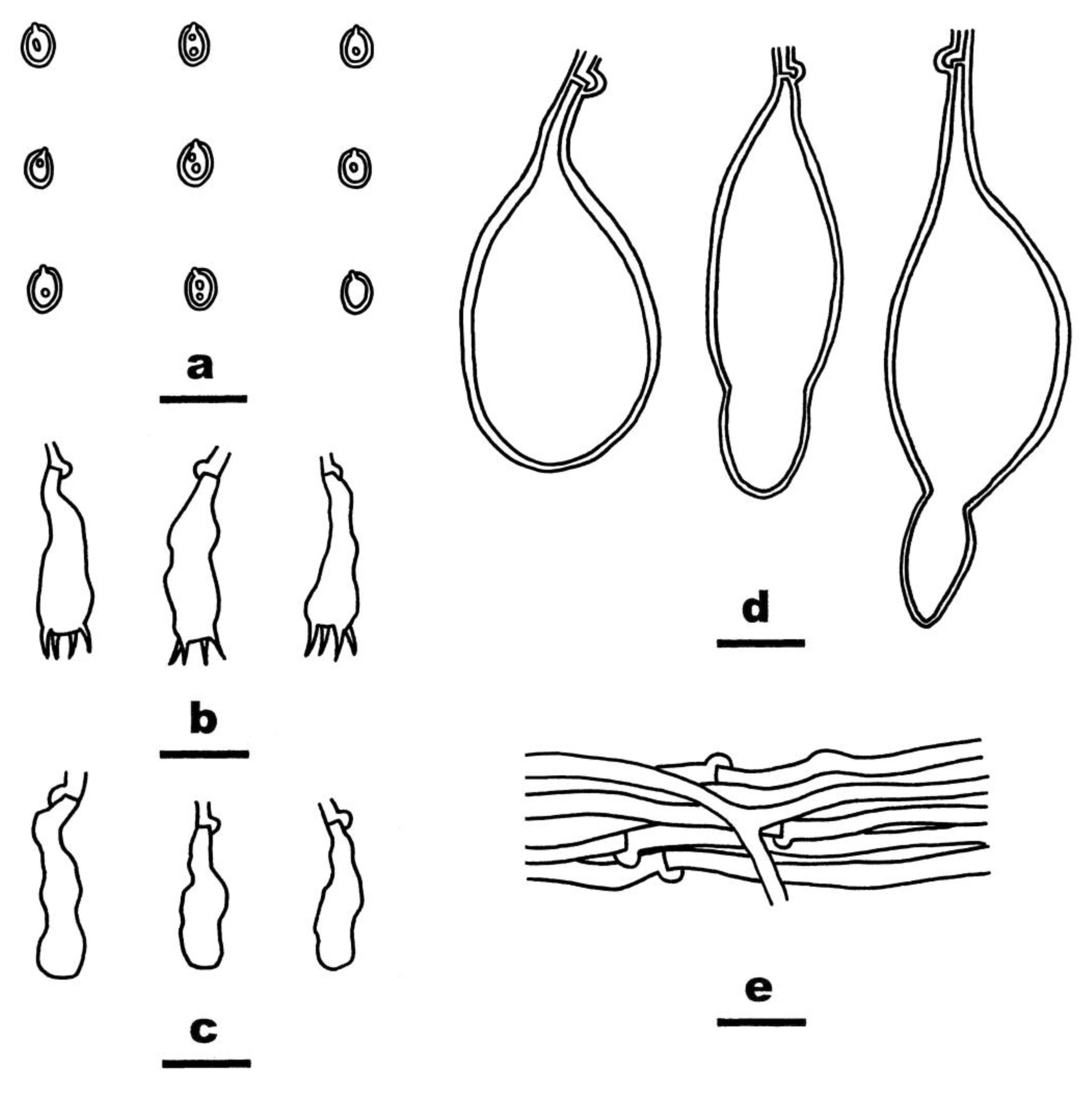 Jof 08 01229 g006 Jof 08 01229 g006