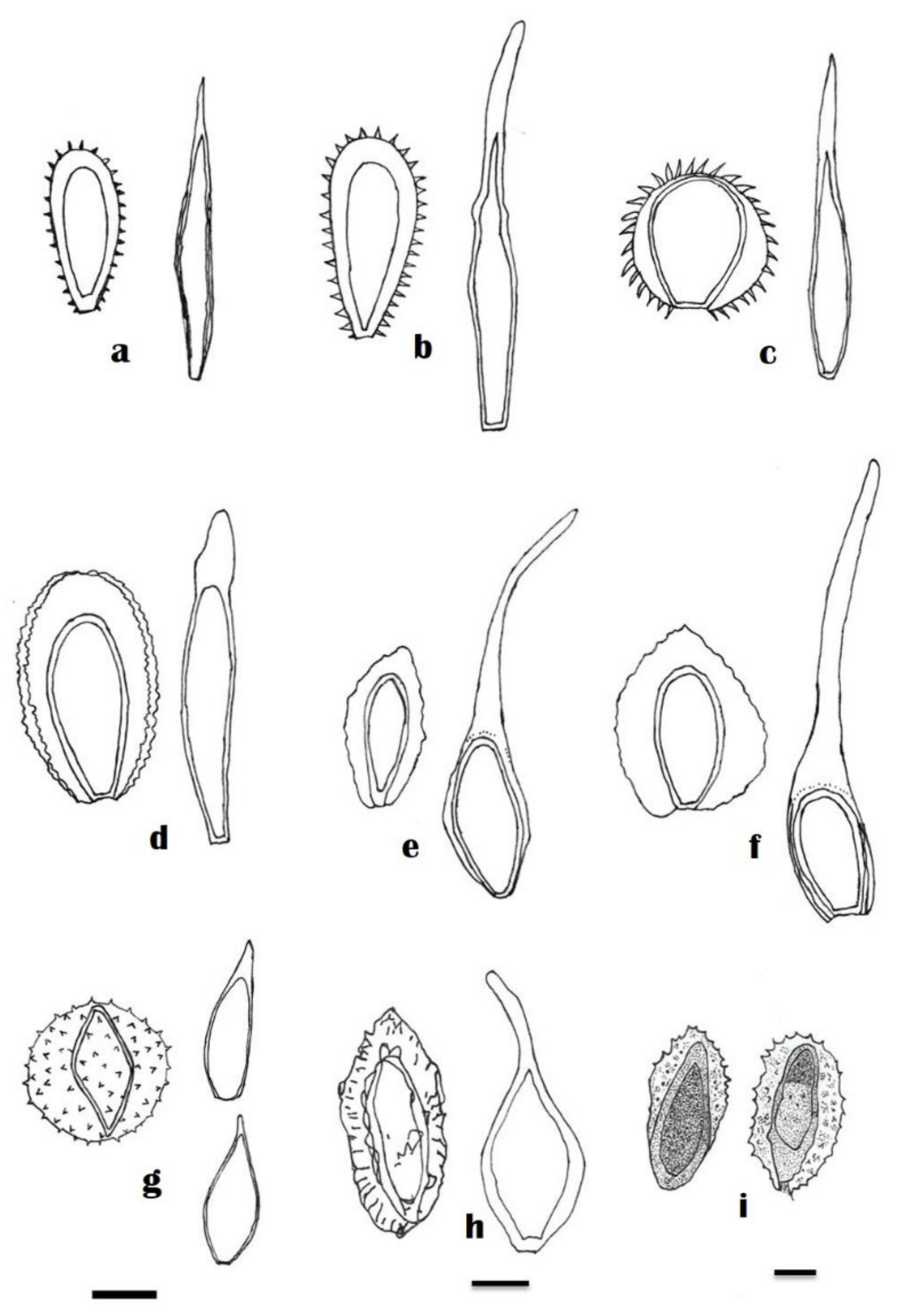 Jof 08 01243 g004 Jof 08 01243 g004