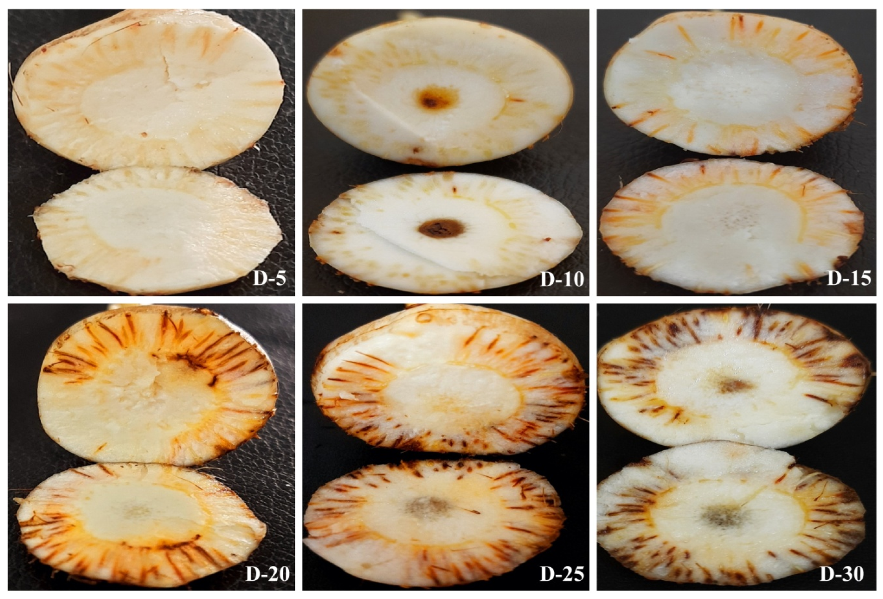 Jof 08 01246 g006 Jof 08 01246 g006