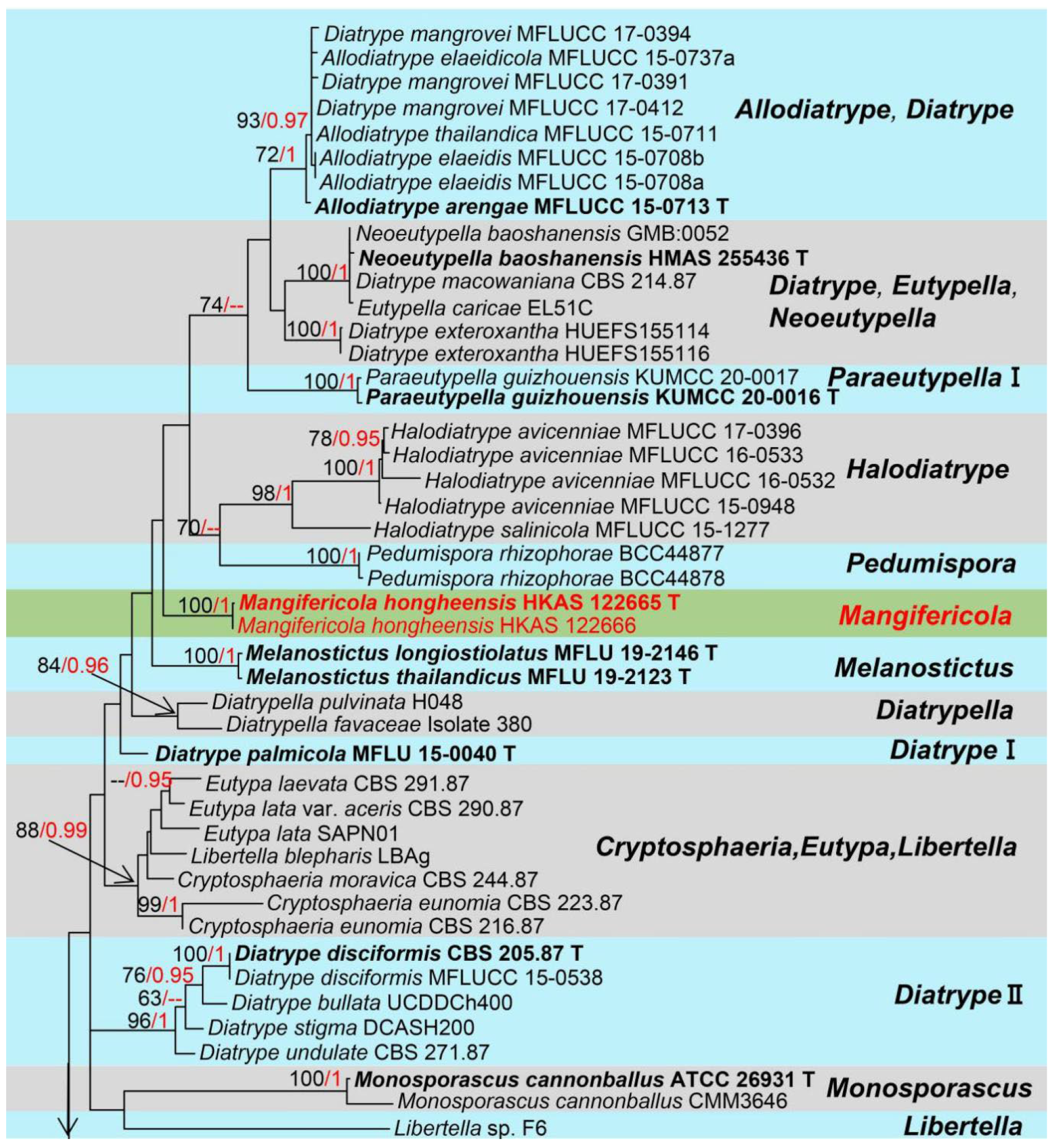 Jof 08 01249 g001a Jof 08 01249 g001a