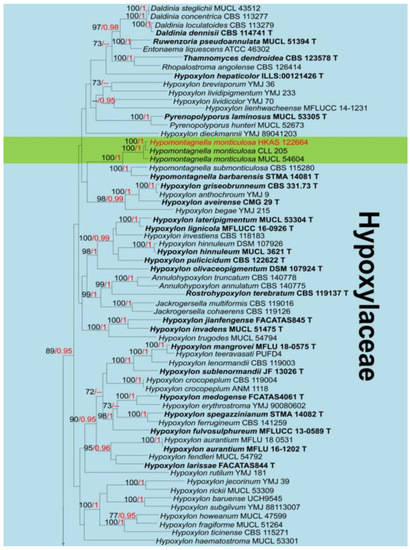 アンノーウン NACHI JAPAN 40TRBC07-27SBCS Release Bearing for Toyota 90363-40008