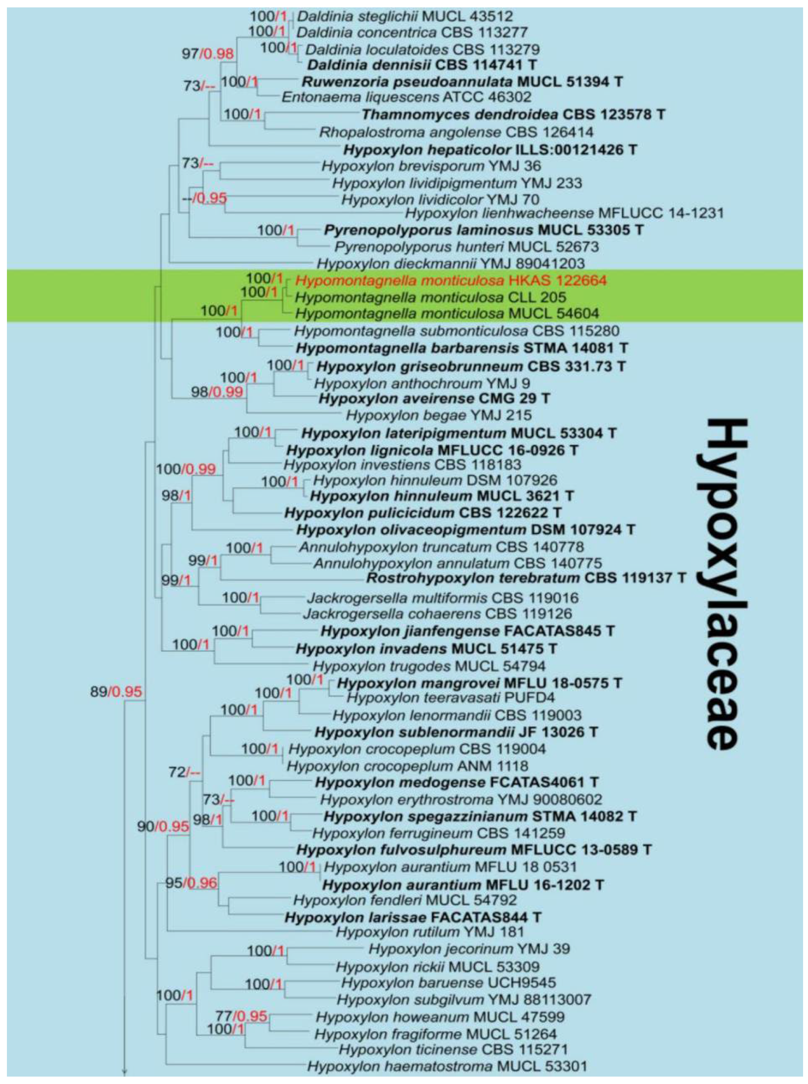 Jof 08 01249 g003a Jof 08 01249 g003a