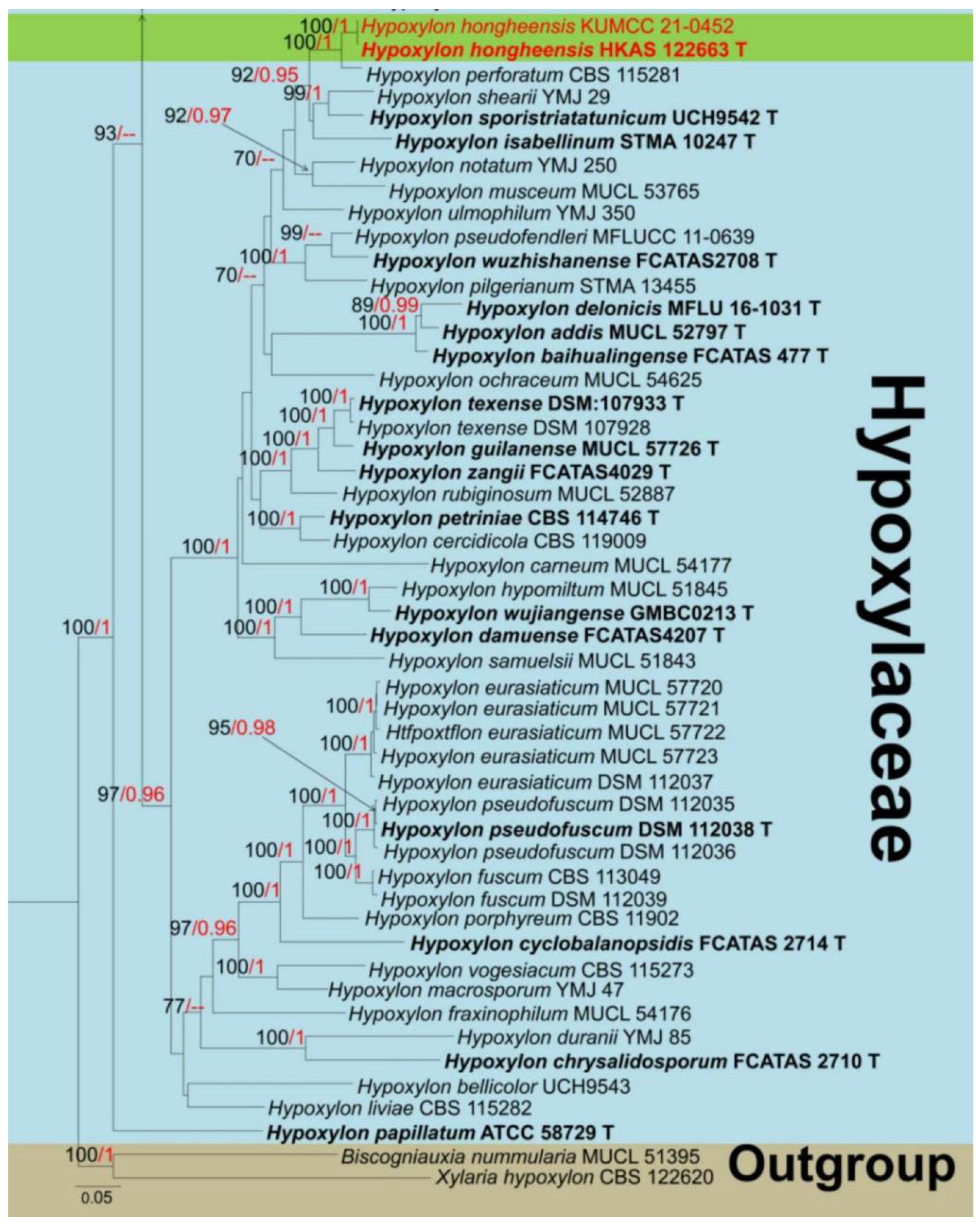 Jof 08 01249 g003b Jof 08 01249 g003b