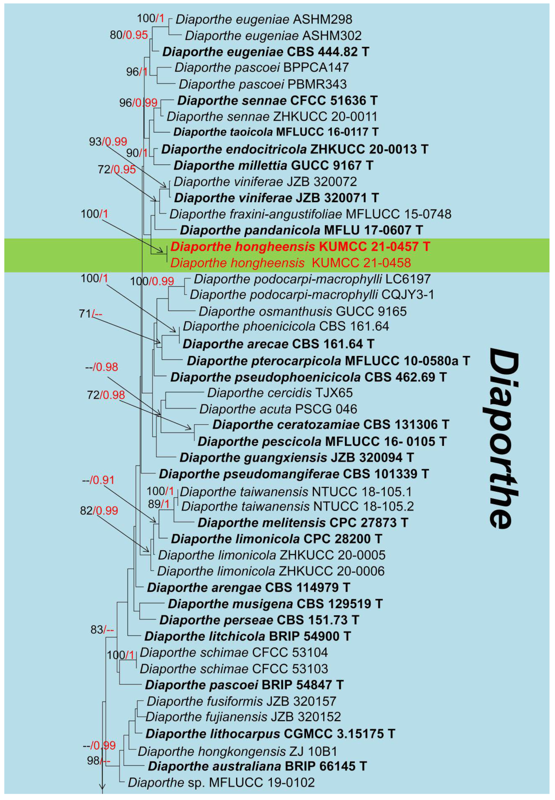 Jof 08 01249 g005a Jof 08 01249 g005a