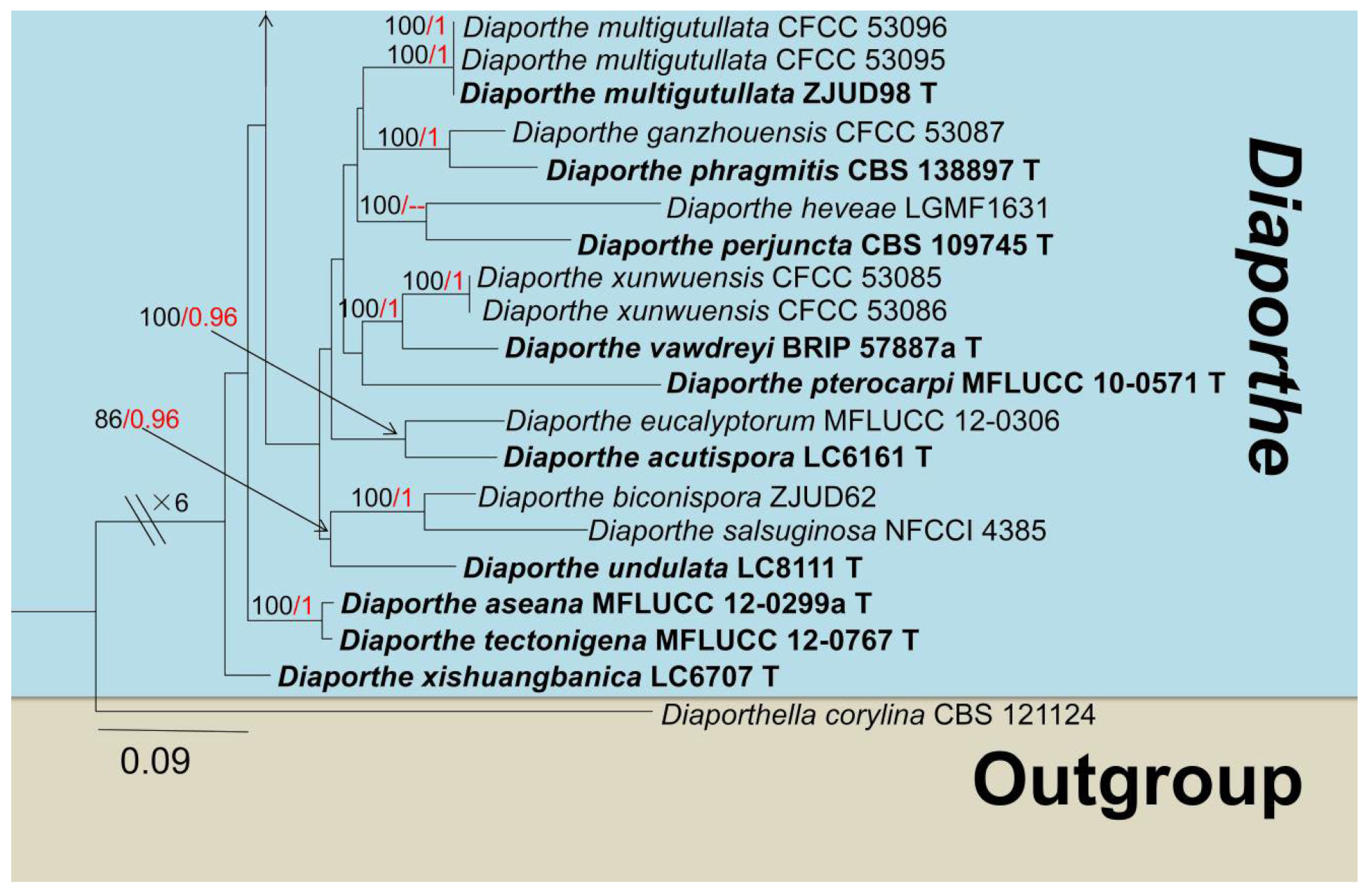 Jof 08 01249 g005b Jof 08 01249 g005b