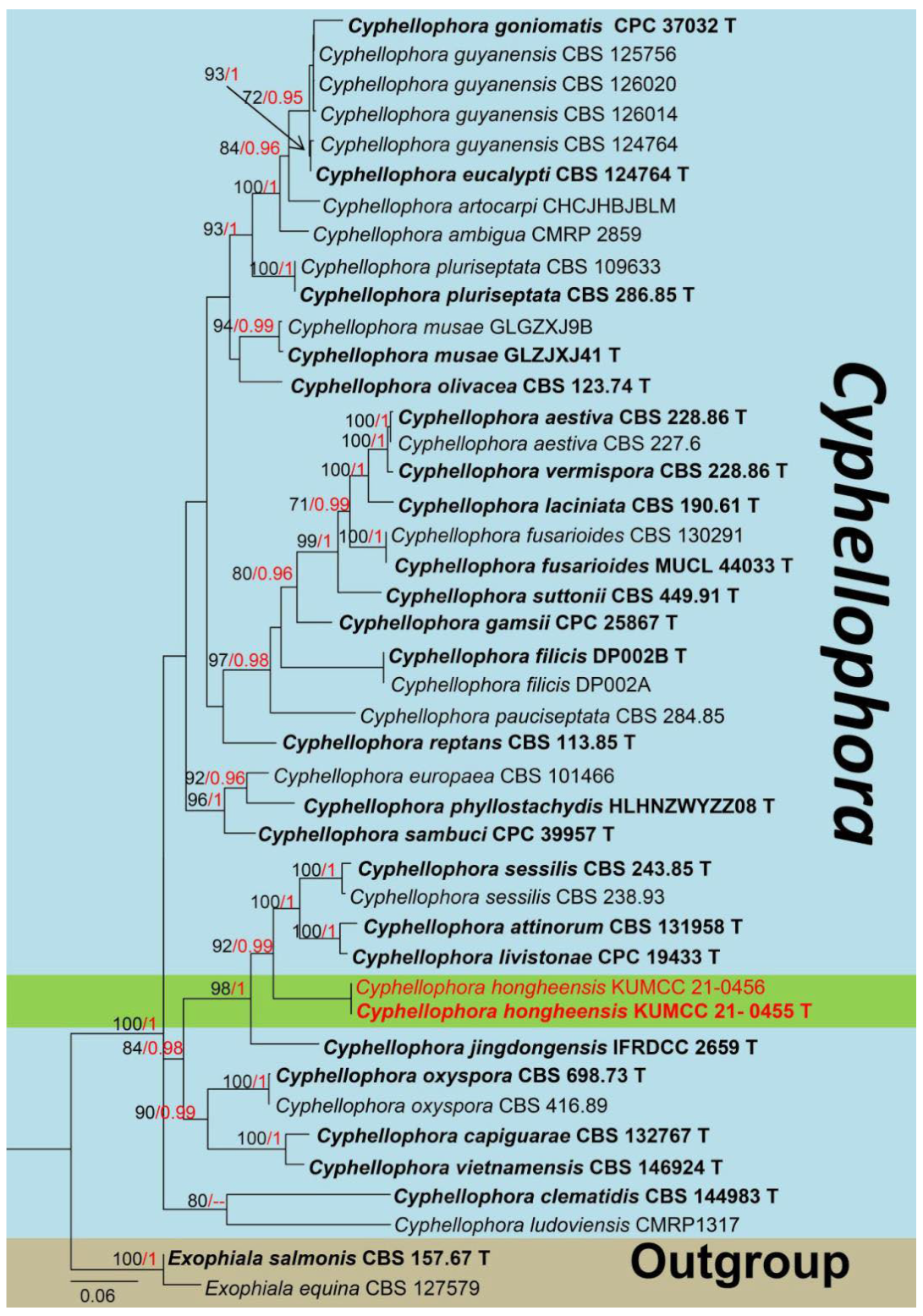 Jof 08 01249 g007 Jof 08 01249 g007