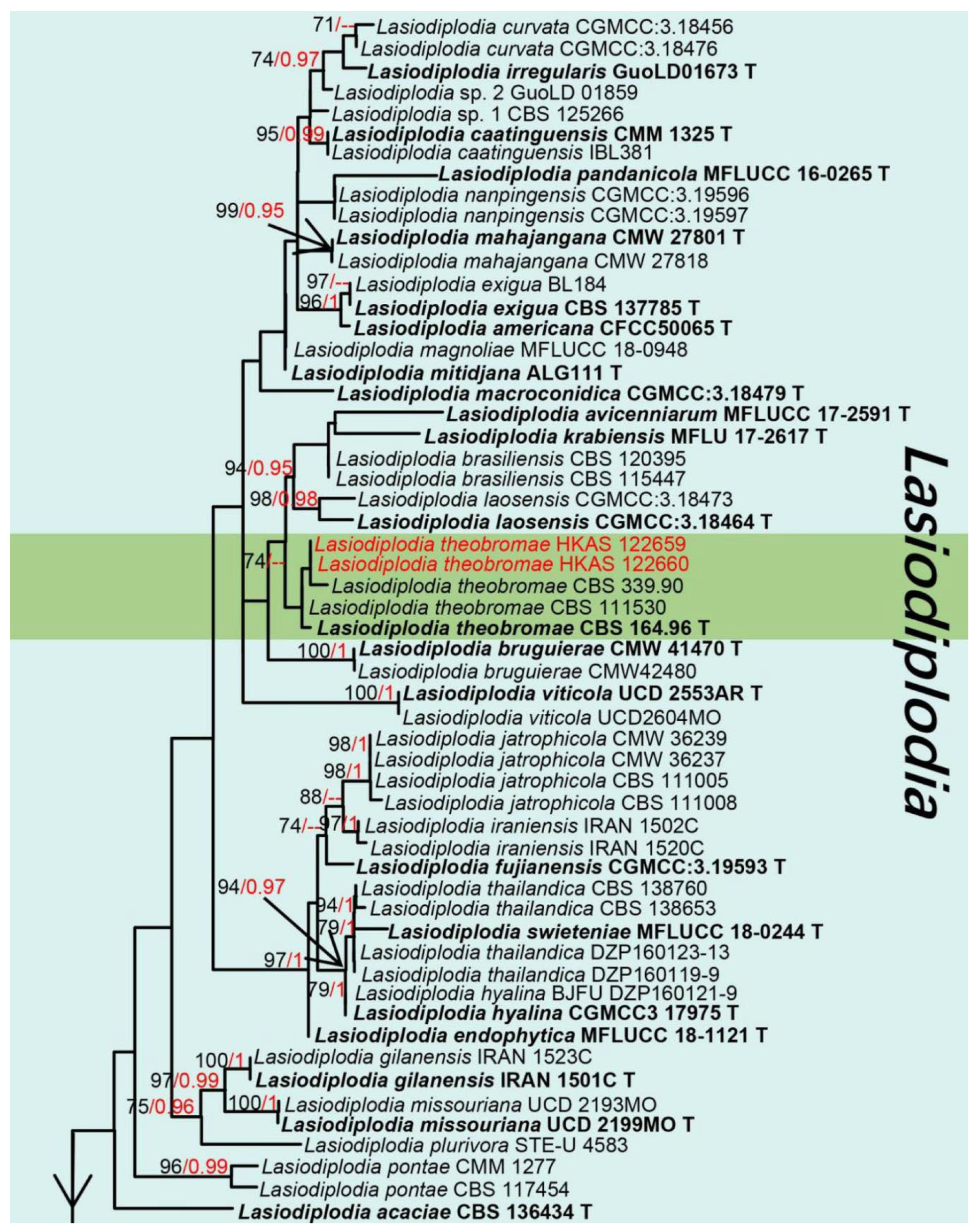 Jof 08 01249 g009a Jof 08 01249 g009a