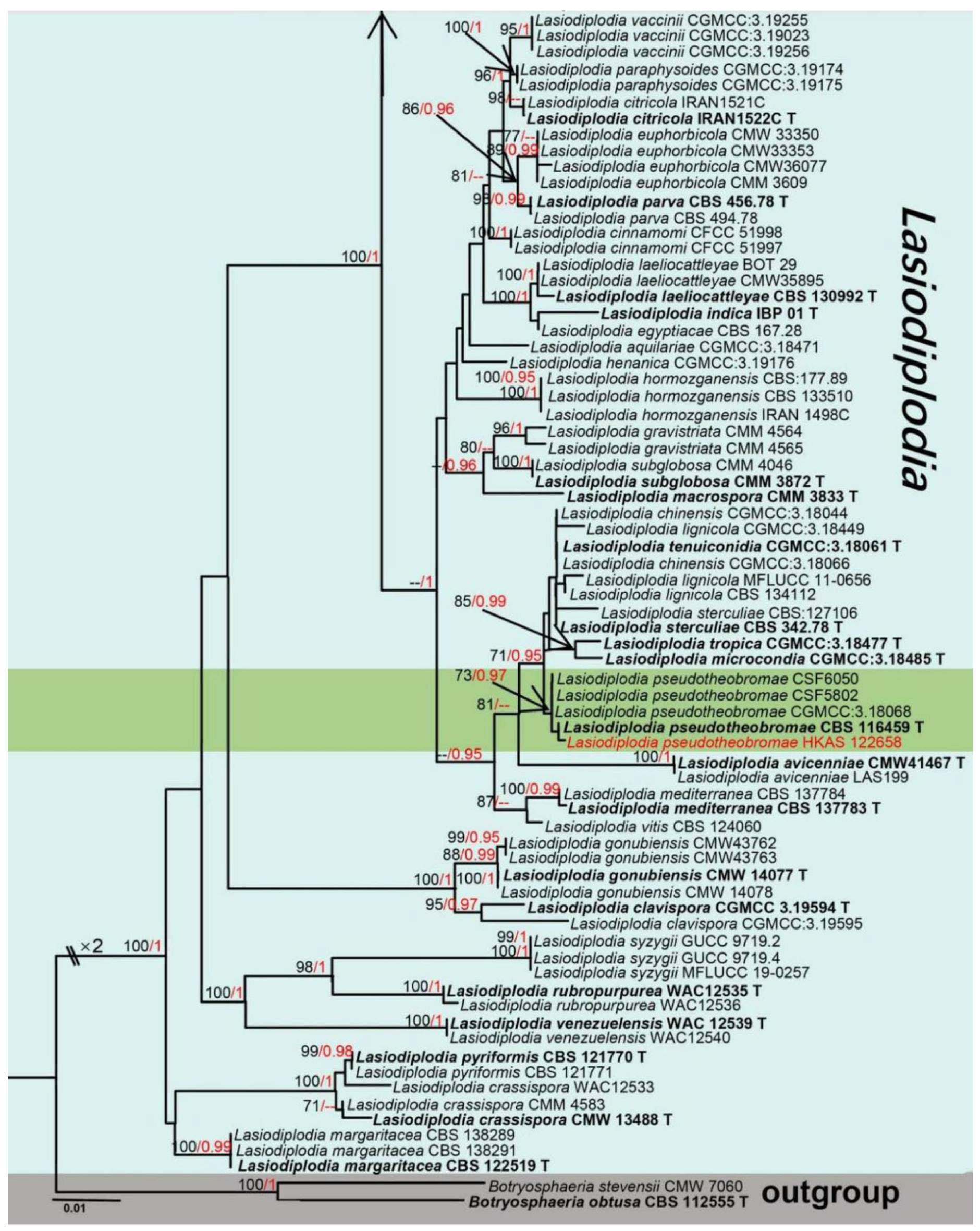Jof 08 01249 g009b Jof 08 01249 g009b