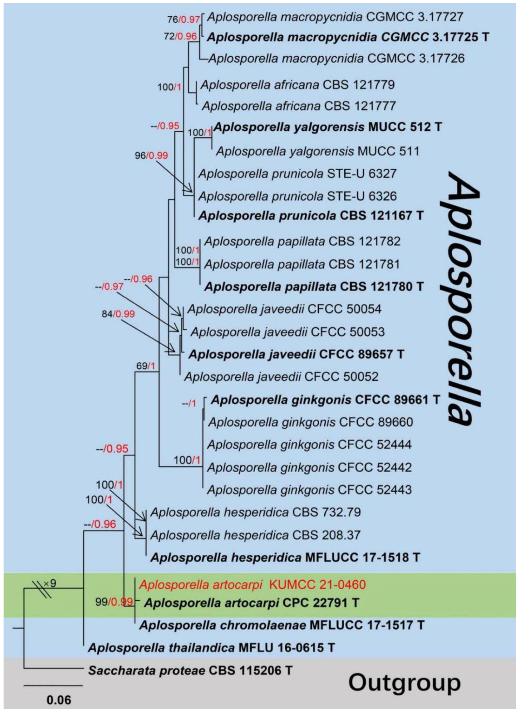 Jof 08 01249 g012 Jof 08 01249 g012