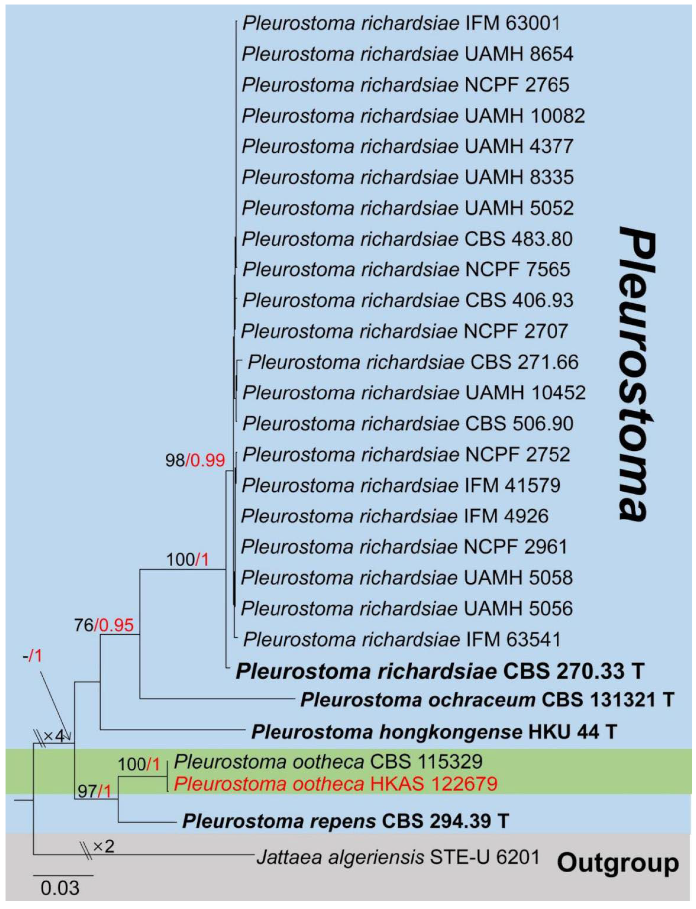 Jof 08 01249 g016 Jof 08 01249 g016