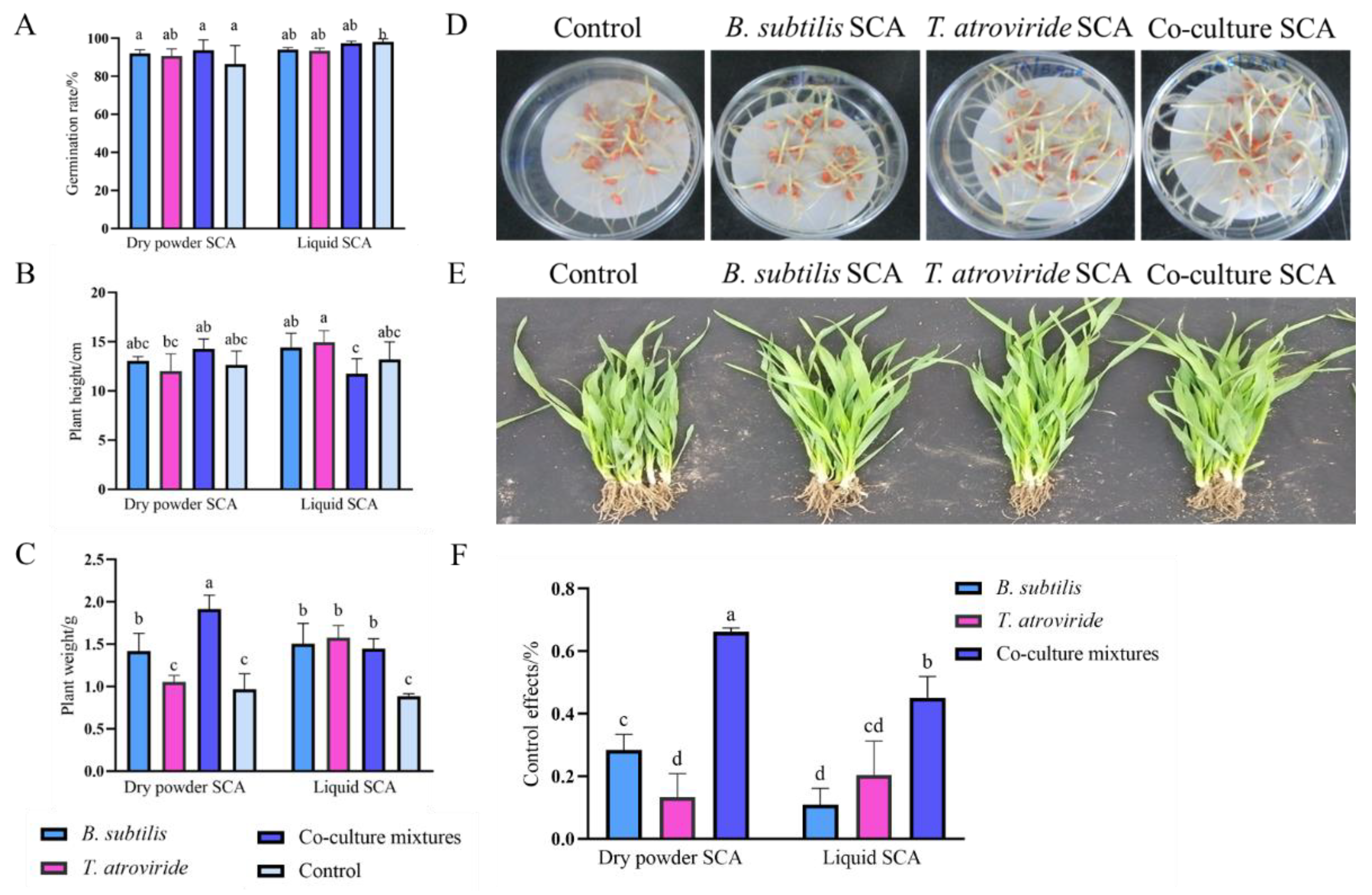 Jof 08 01250 g005 Jof 08 01250 g005