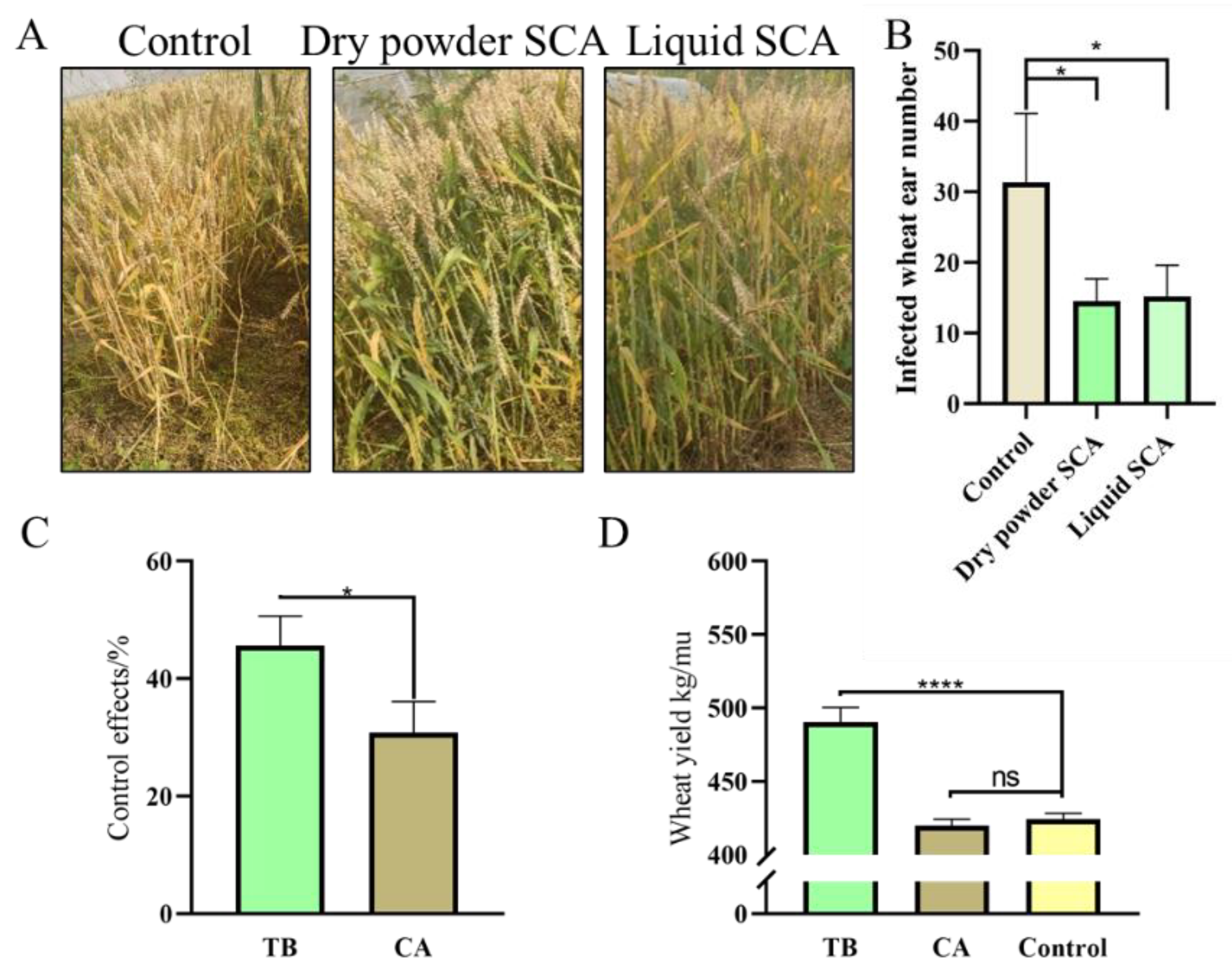 Jof 08 01250 g007 Jof 08 01250 g007